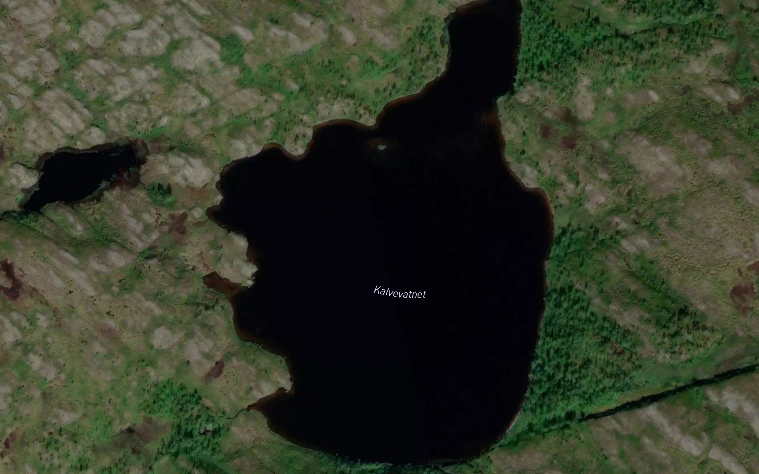 Kalvevatnet