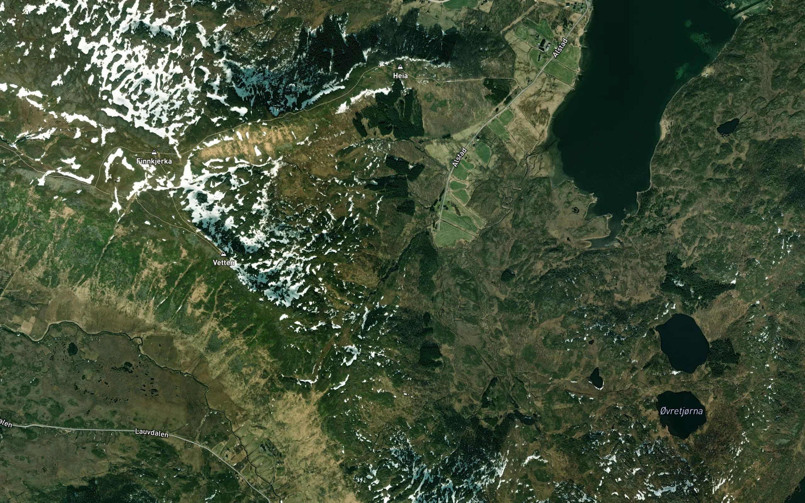 Gongskarelva