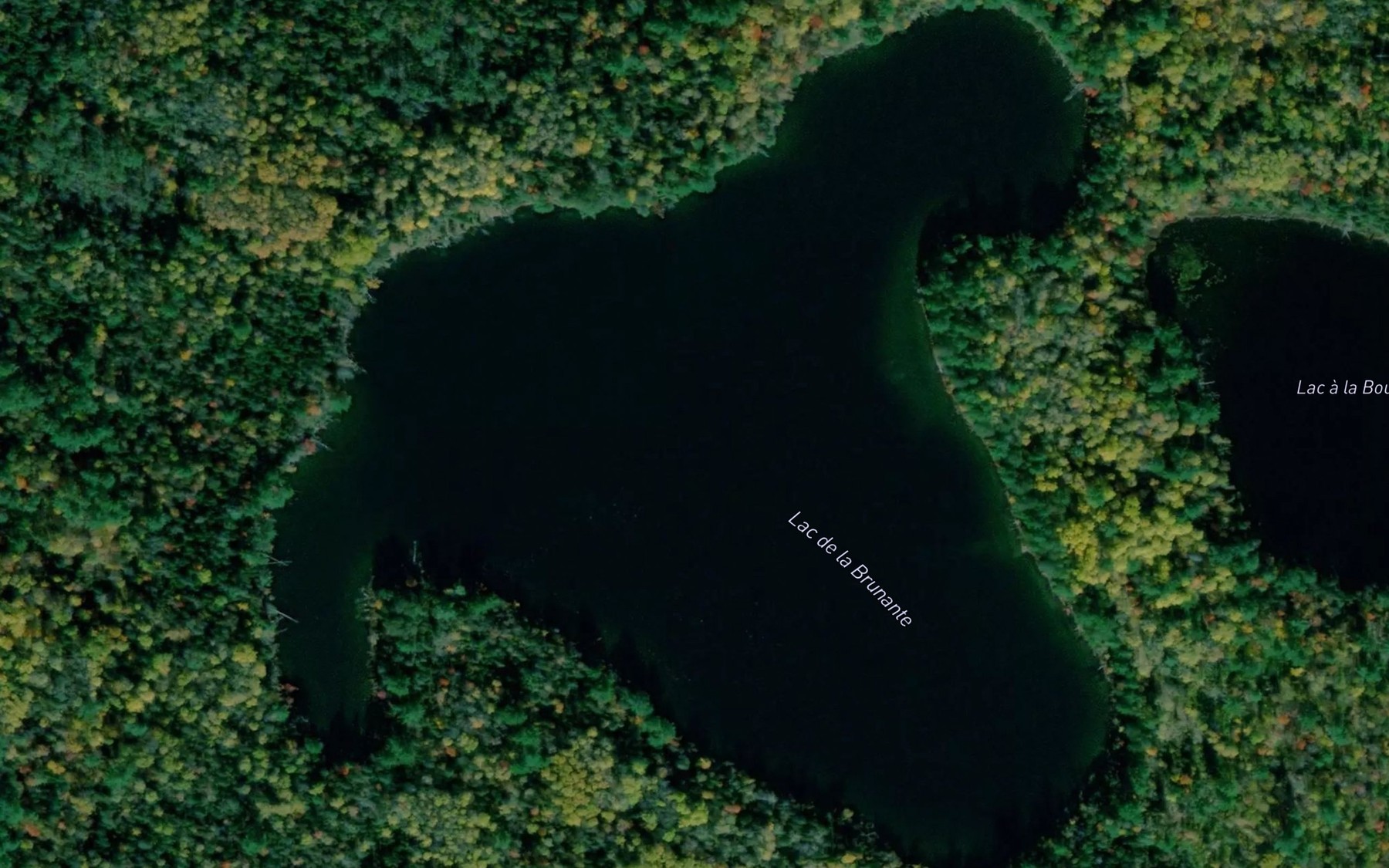 Satellite map of the Lac de la Brunante