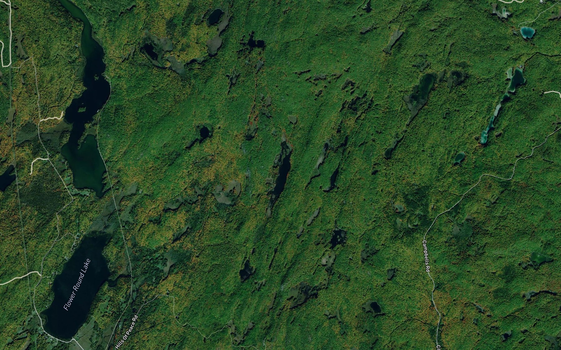 Satellite map of the Mann Lake