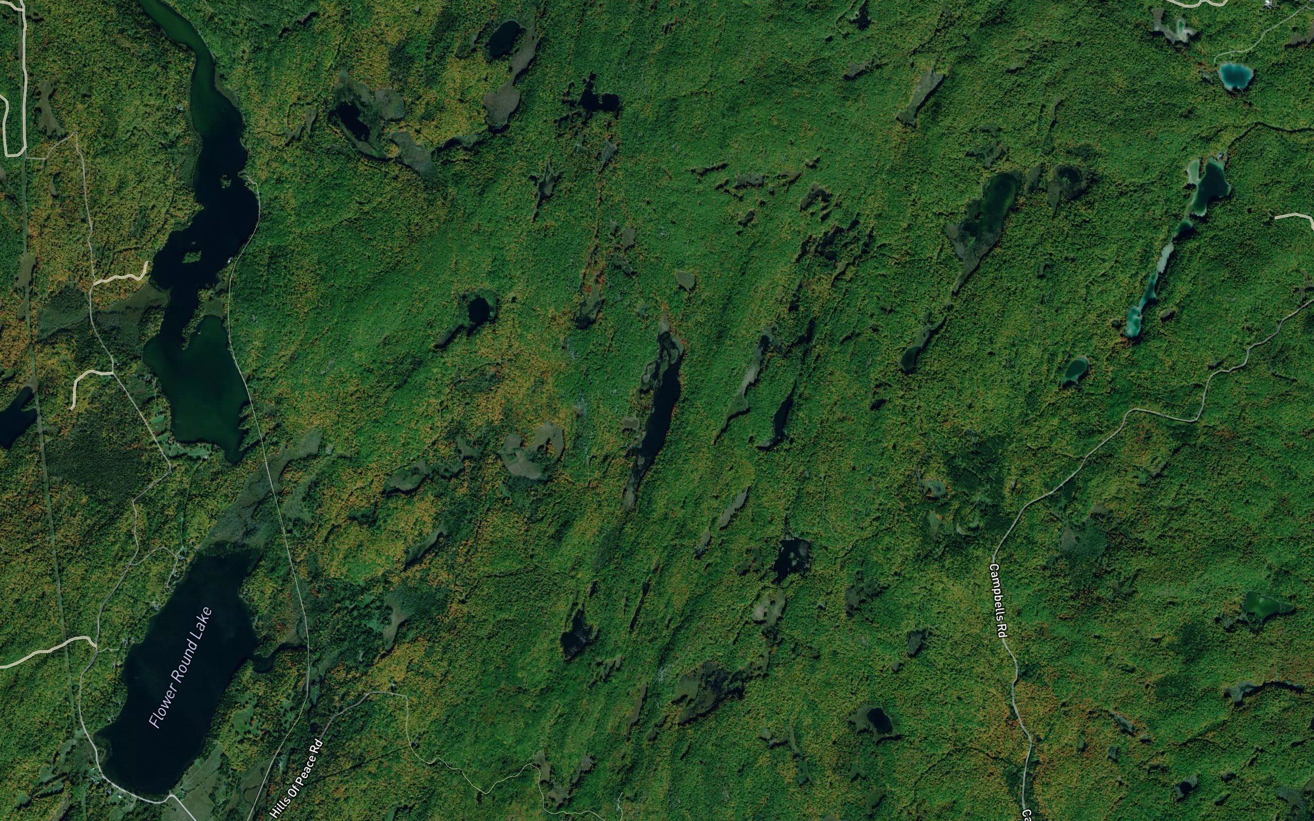 Mann Lake