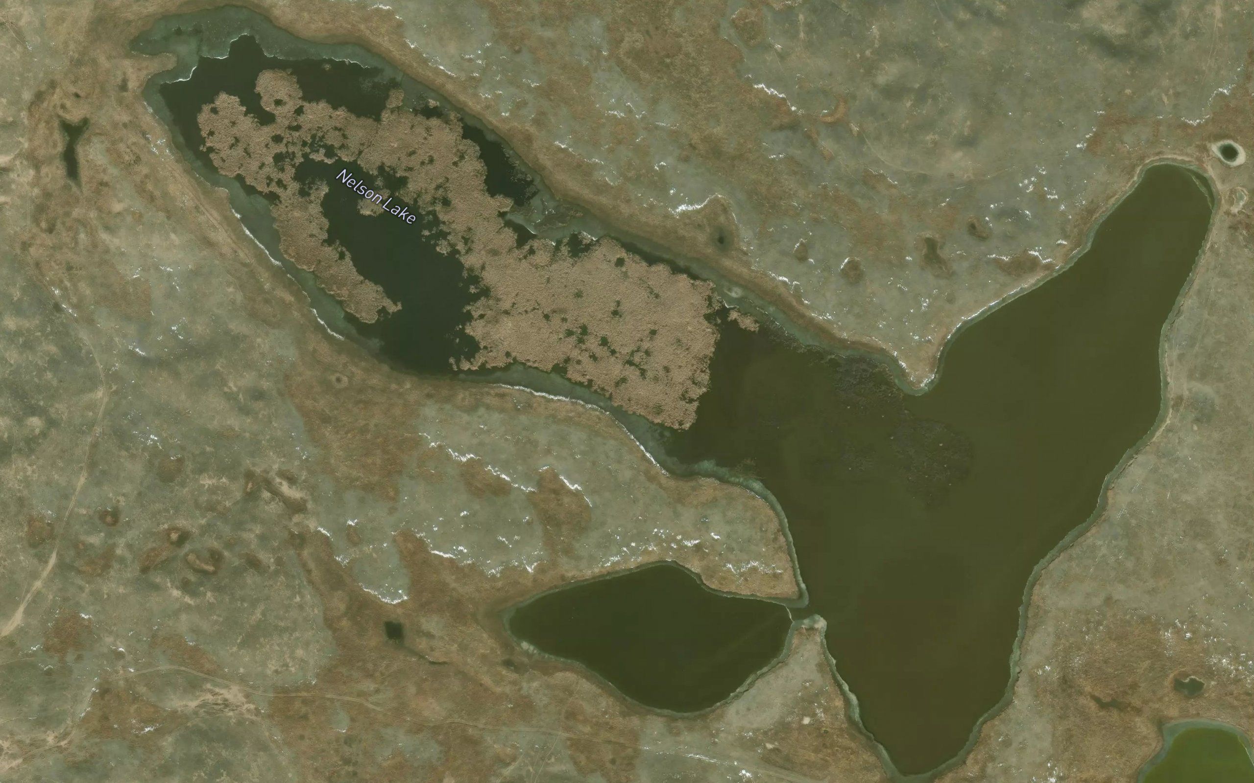 Nelson Lake