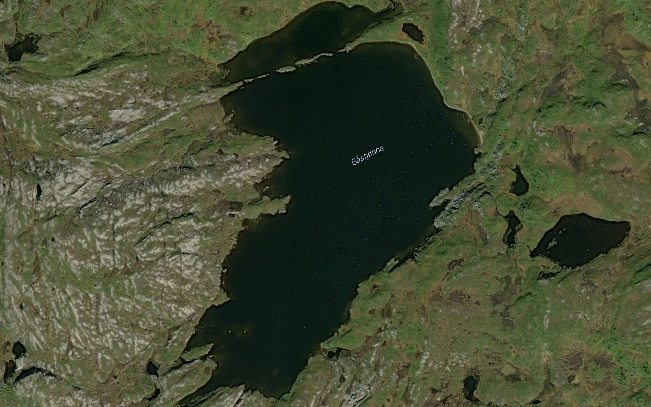 Gastjorna