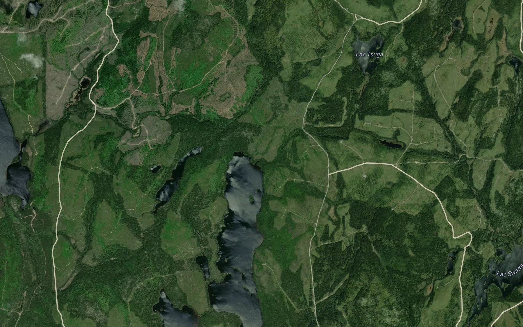 Satellite map of the Ruisseau Tsuga