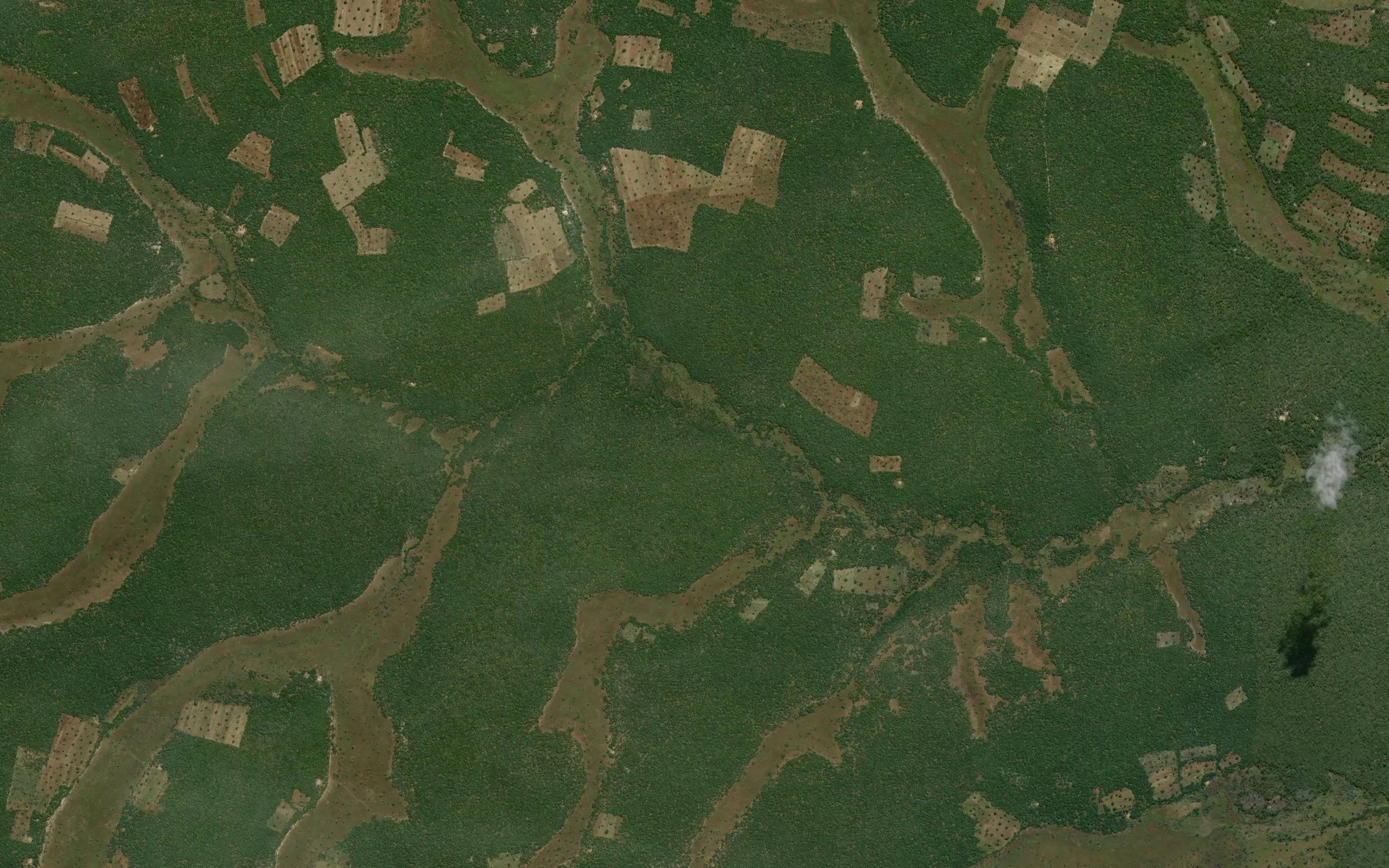 Kapakusa