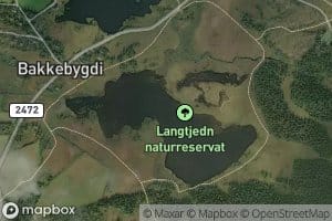 Langtjednet