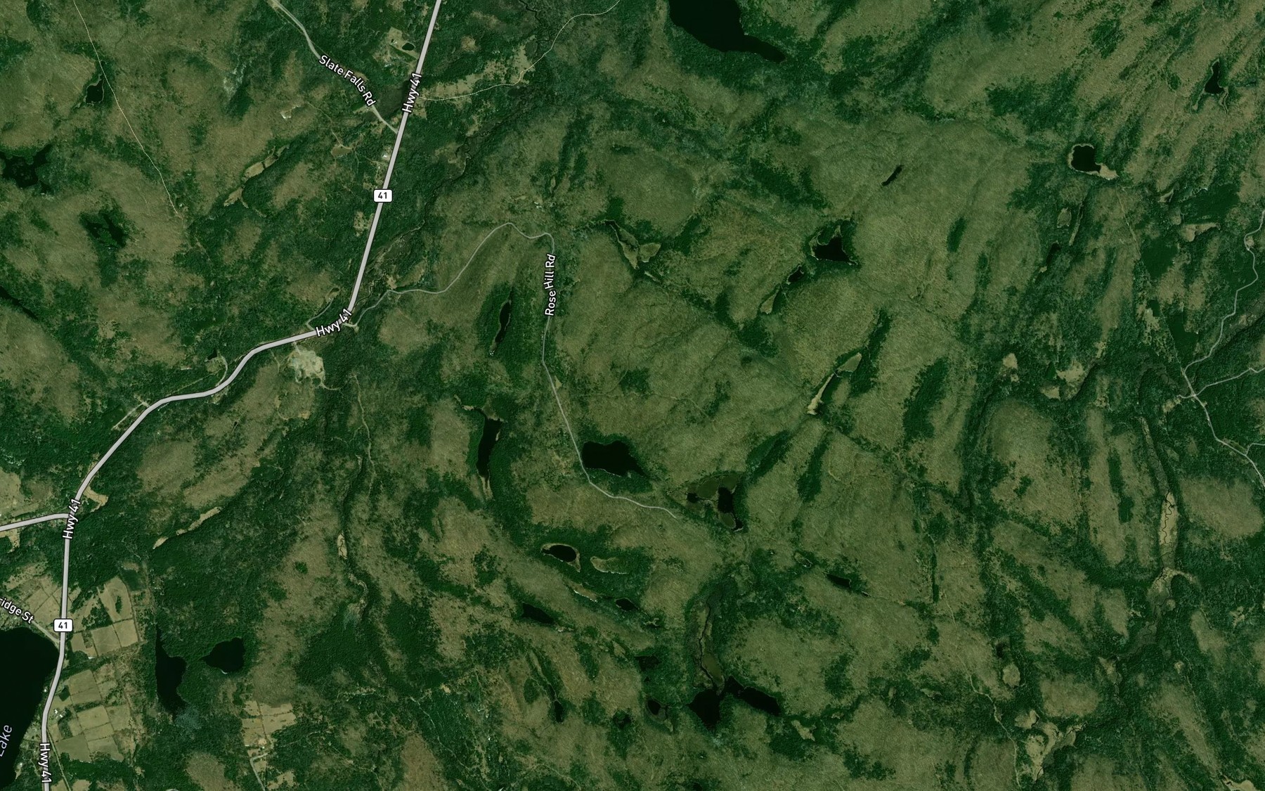 Satellite map of the Rose Lake