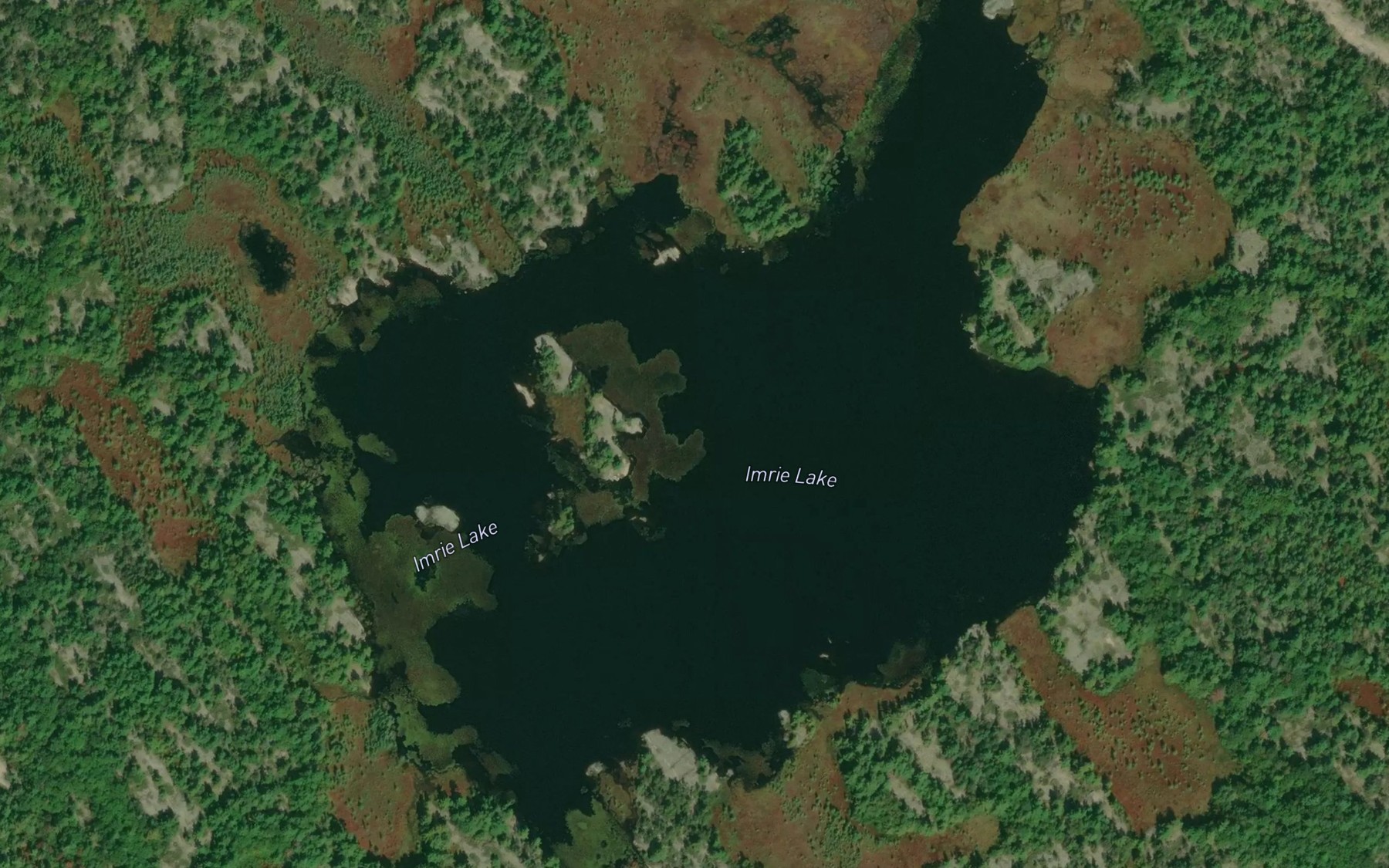Satellite map of the Imrie Lake