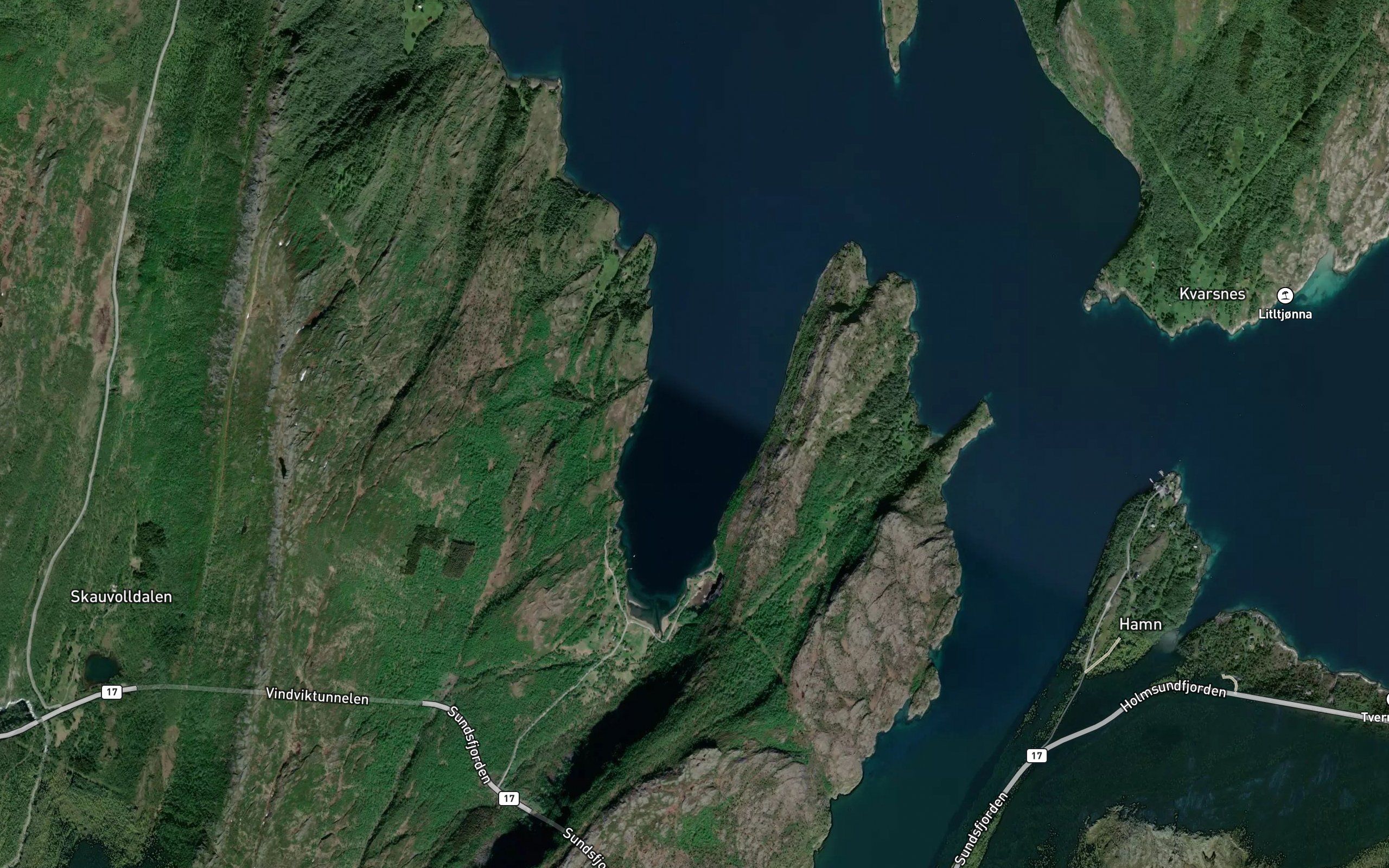 Vindvika