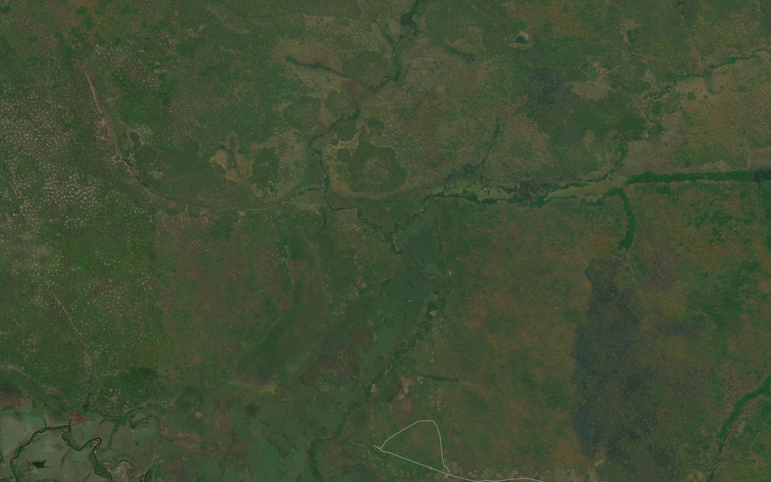 Lumbagi
