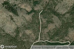 Beetle Spring (historical)