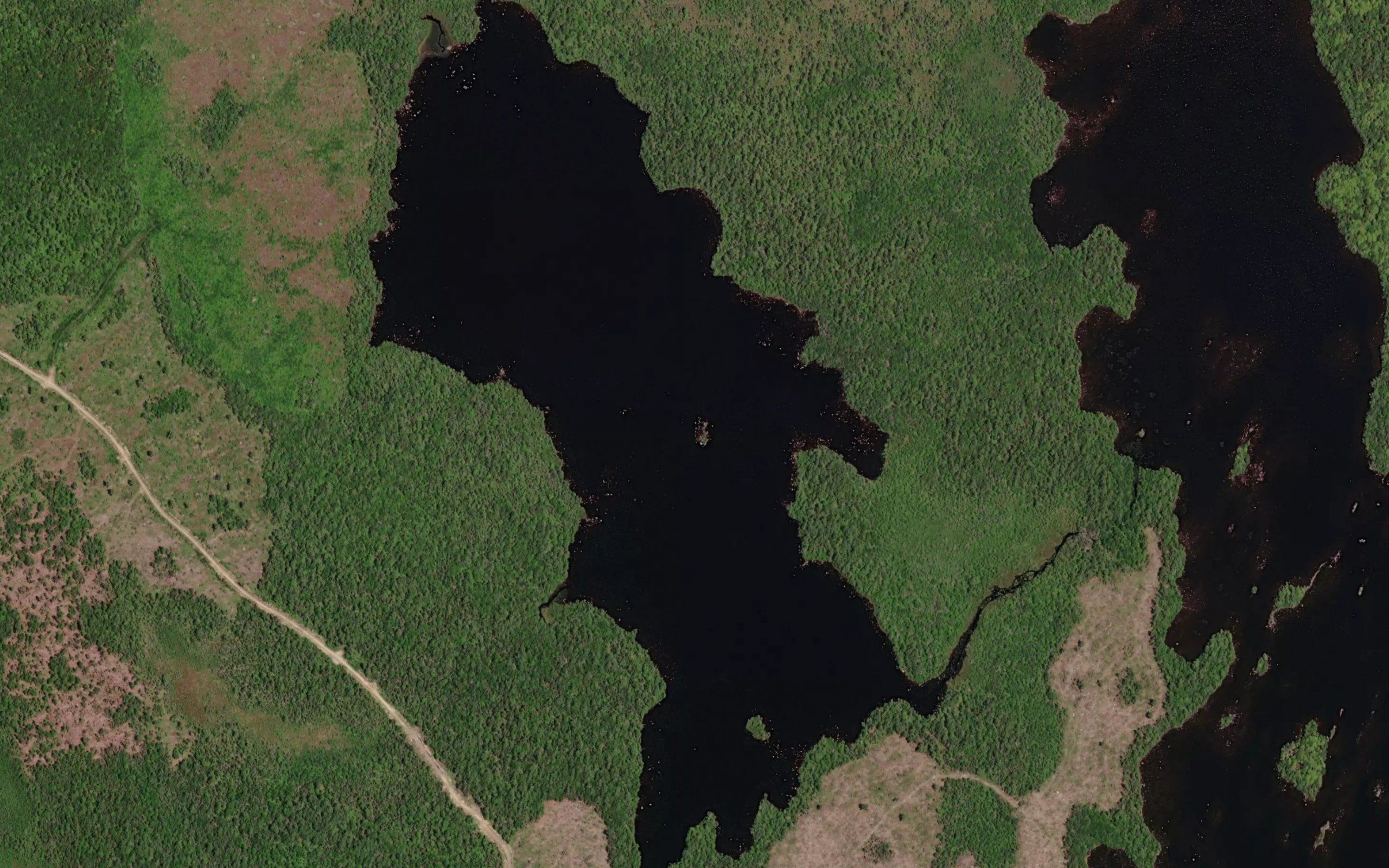 Little Bon Mature Lake