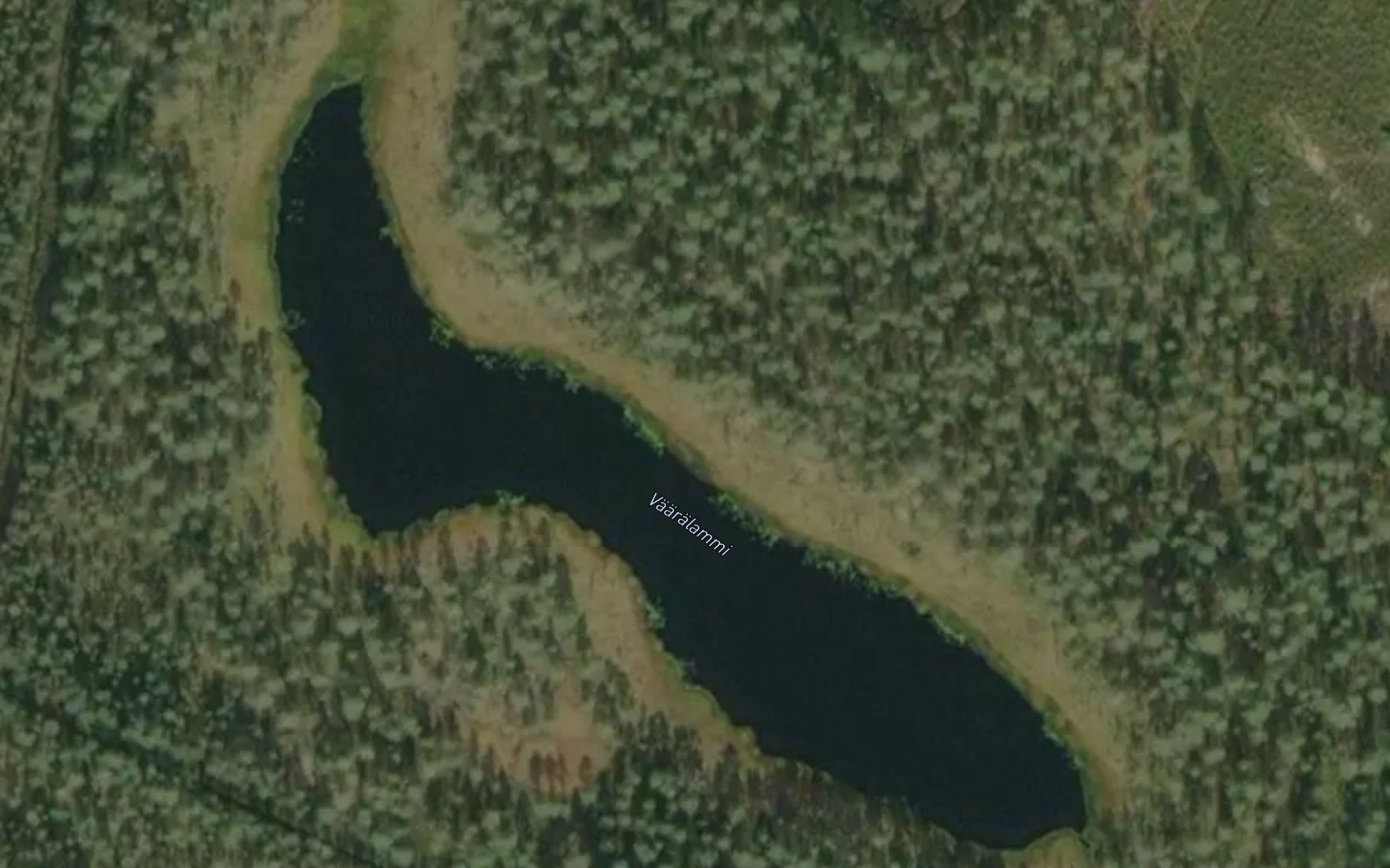 Vaaralammi