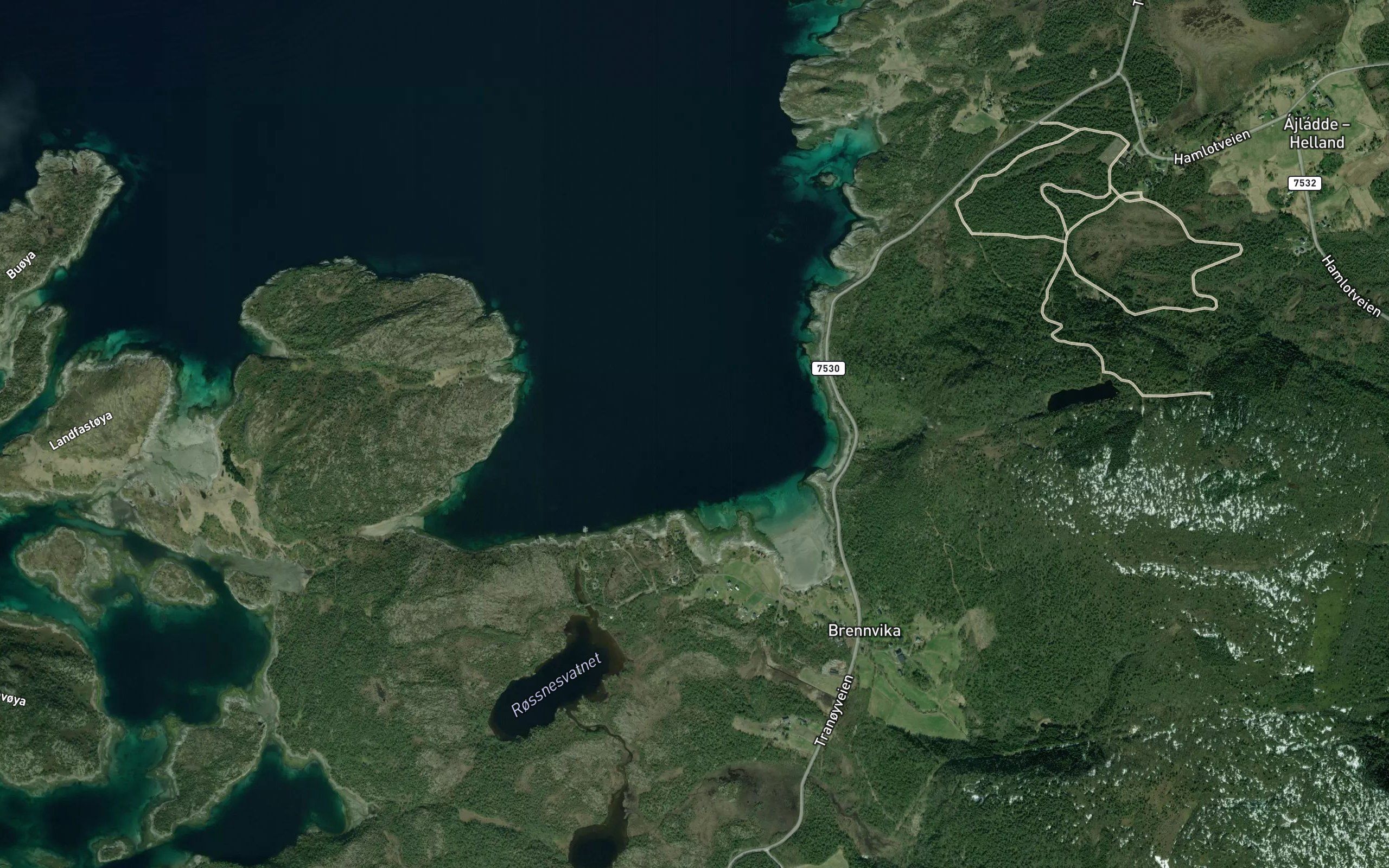 Brennvika