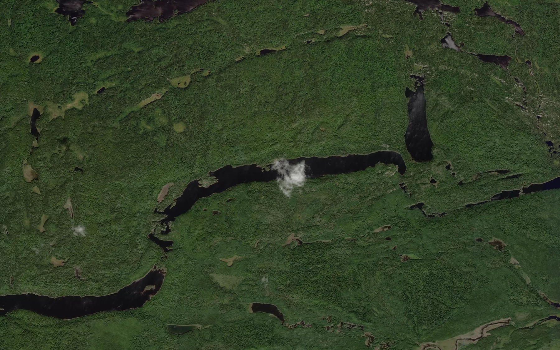 Satellite map of the Puddy Lake