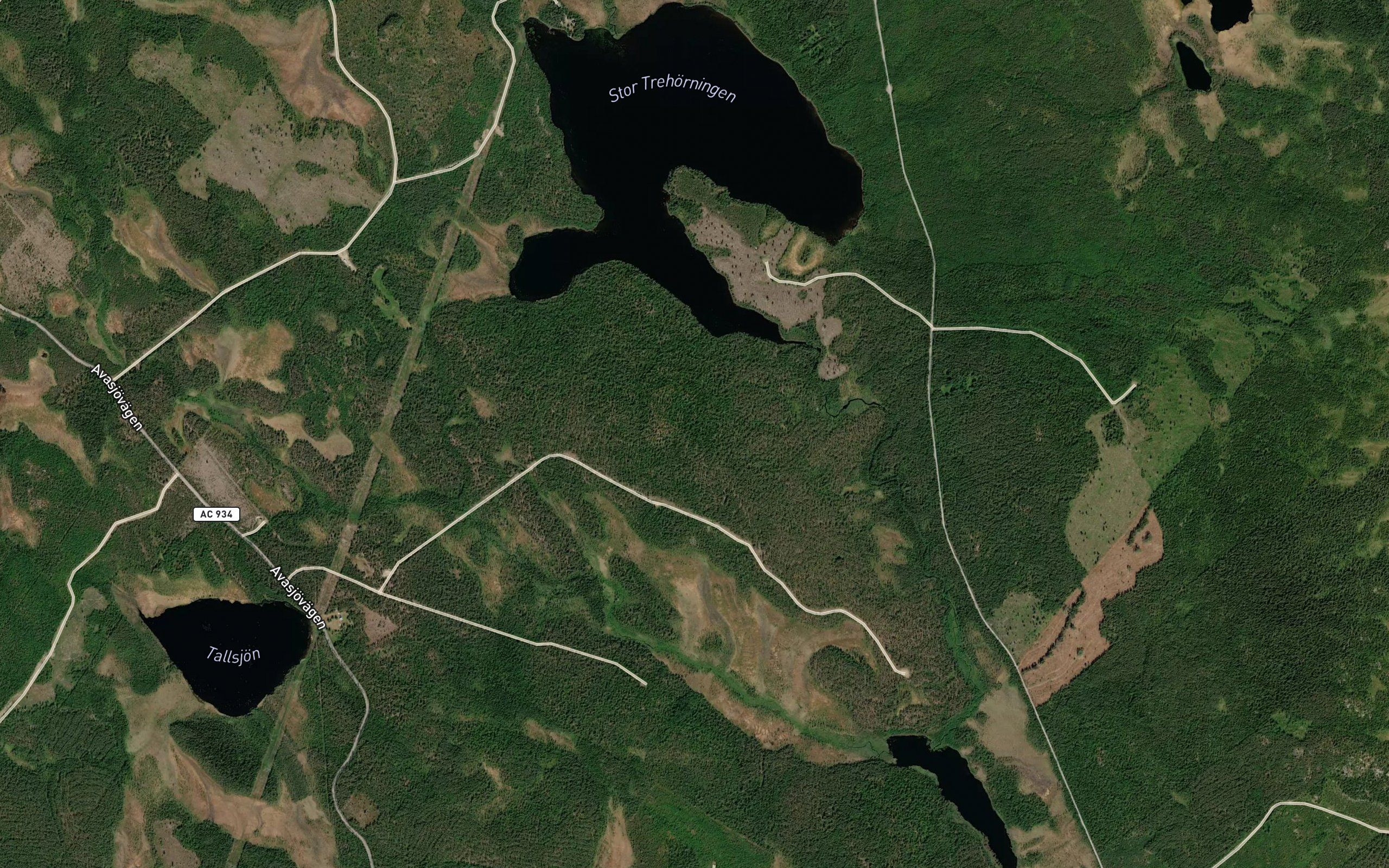 Stor-Trehorningen