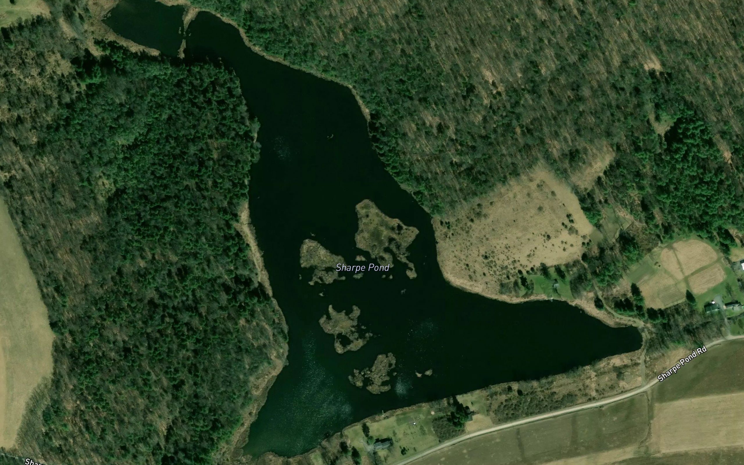 Sharpe Pond