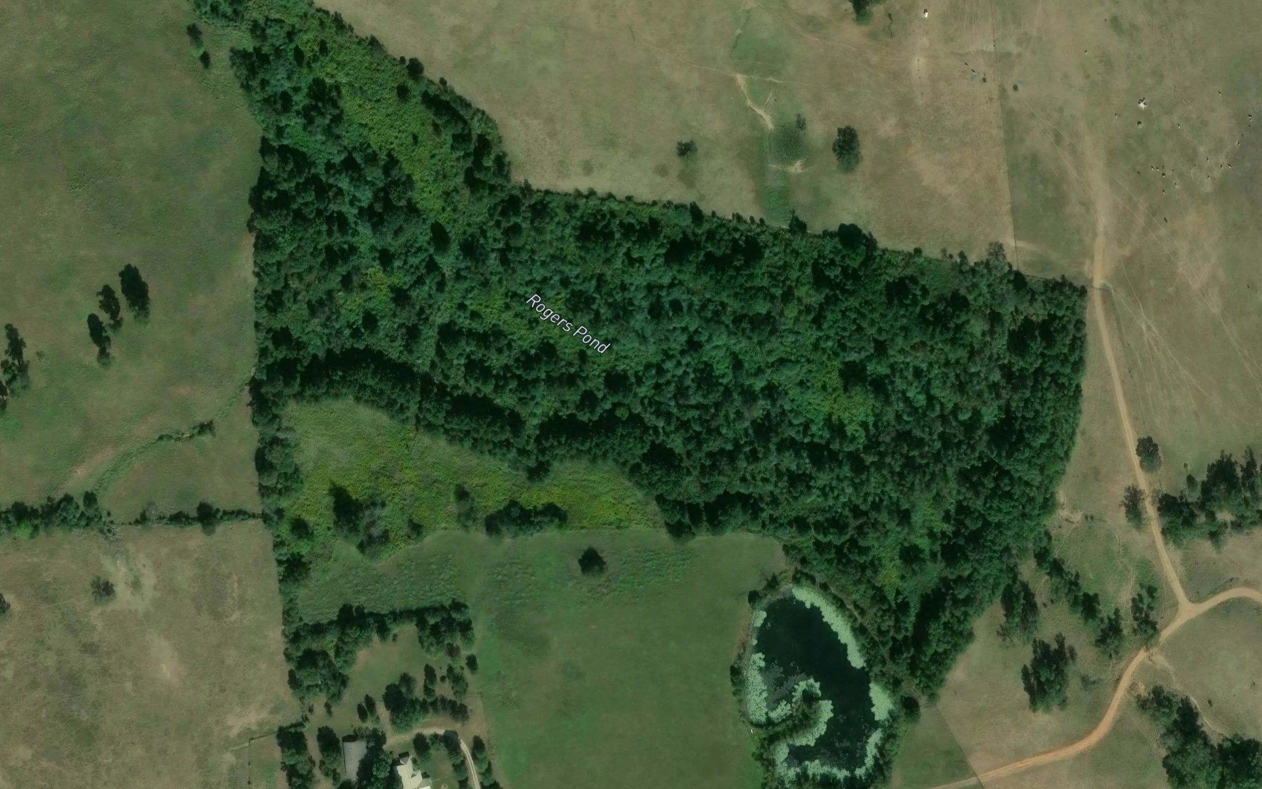 Rogers Pond