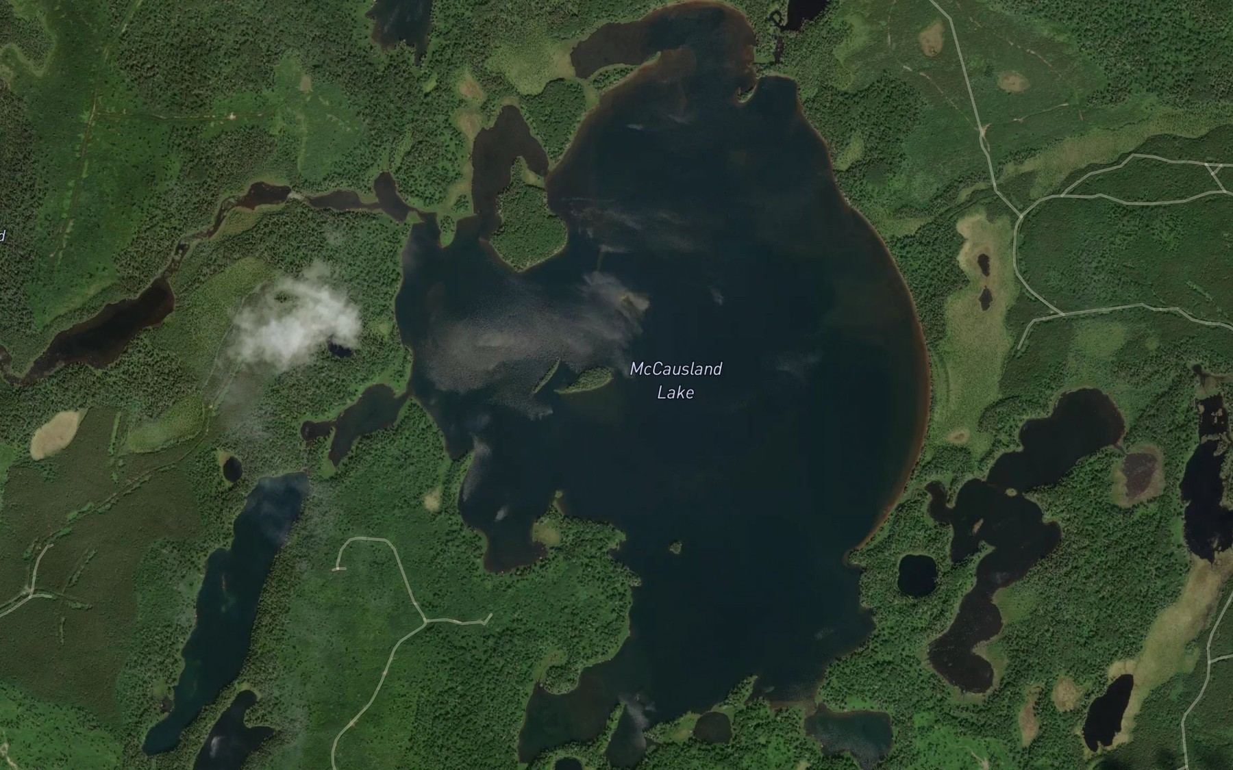 Satellite map of the McCausland Lake