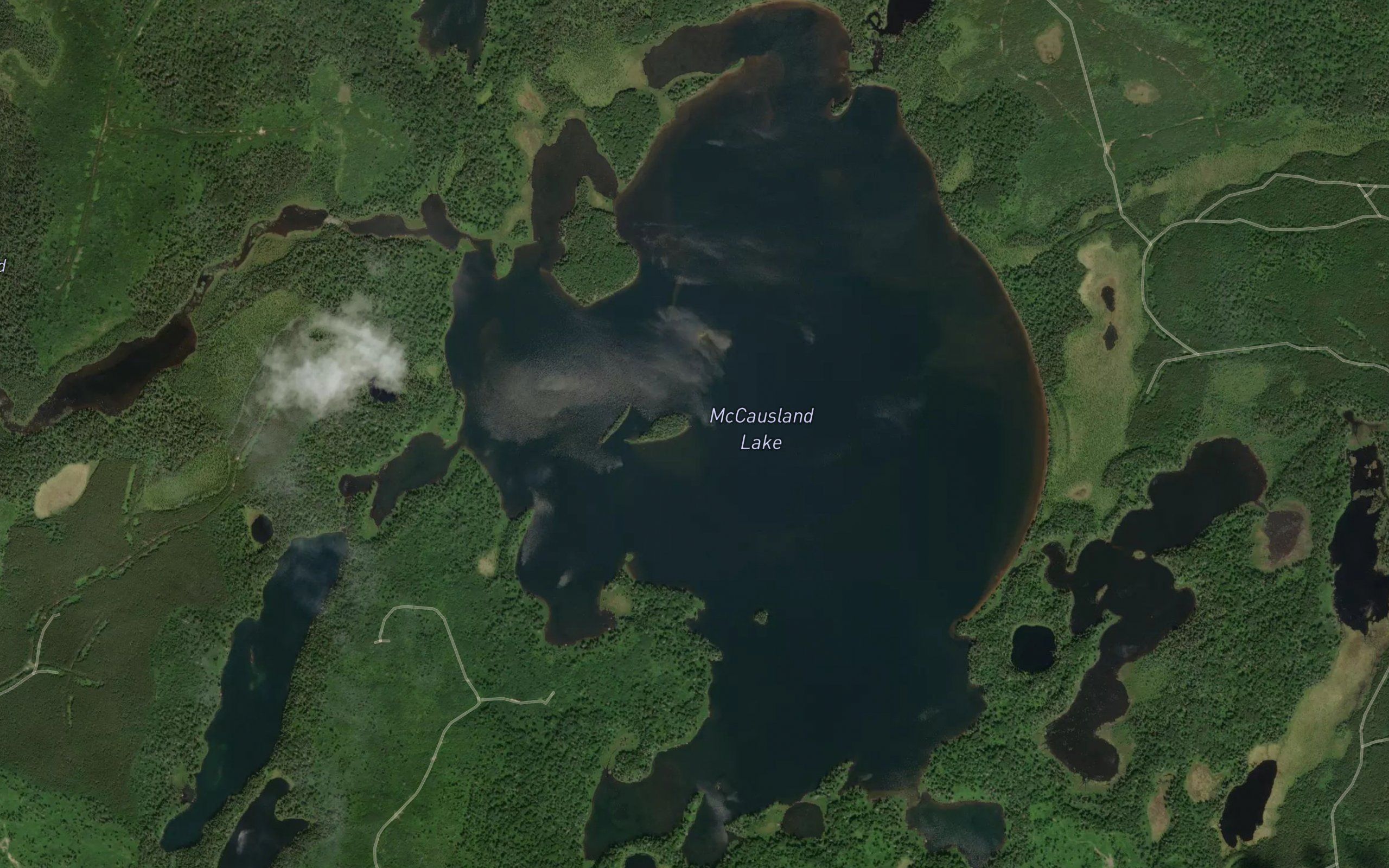 McCausland Lake