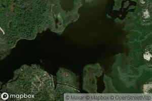Pellicer Creek