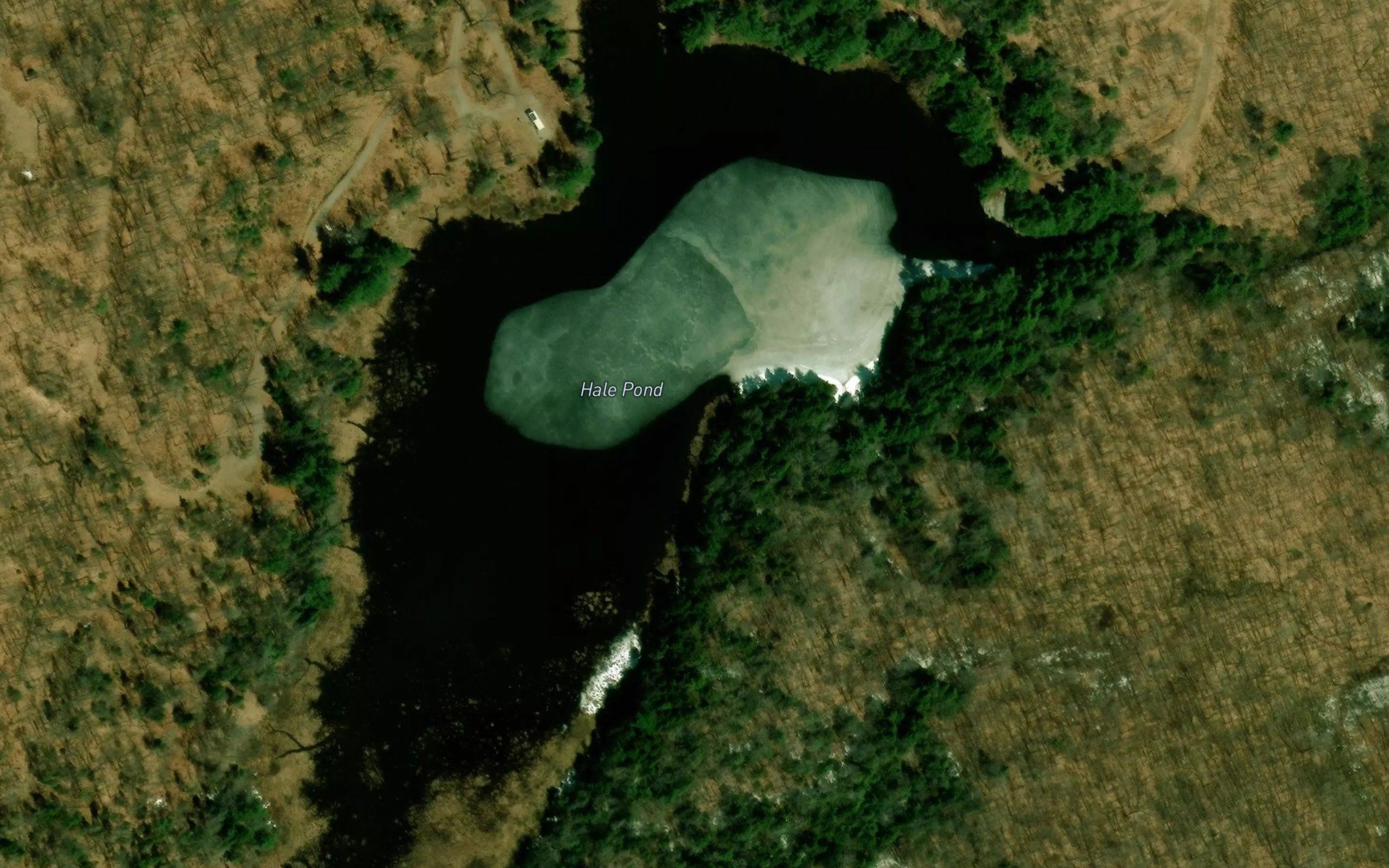 Hale Pond