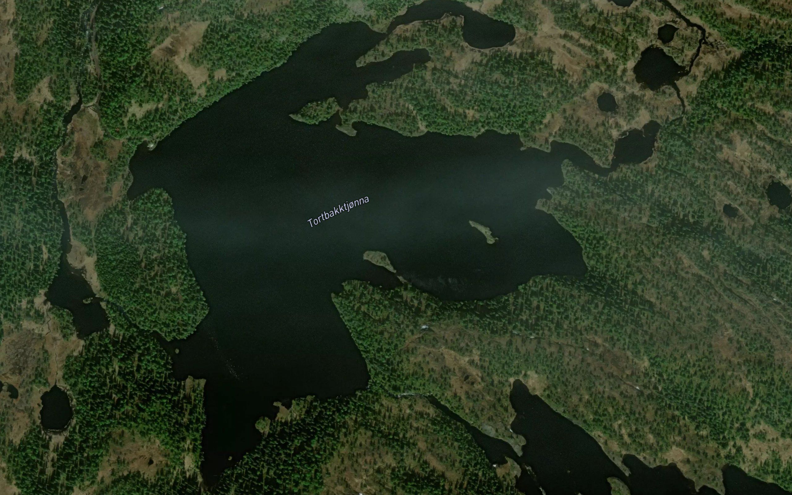 Turtbakktjorna