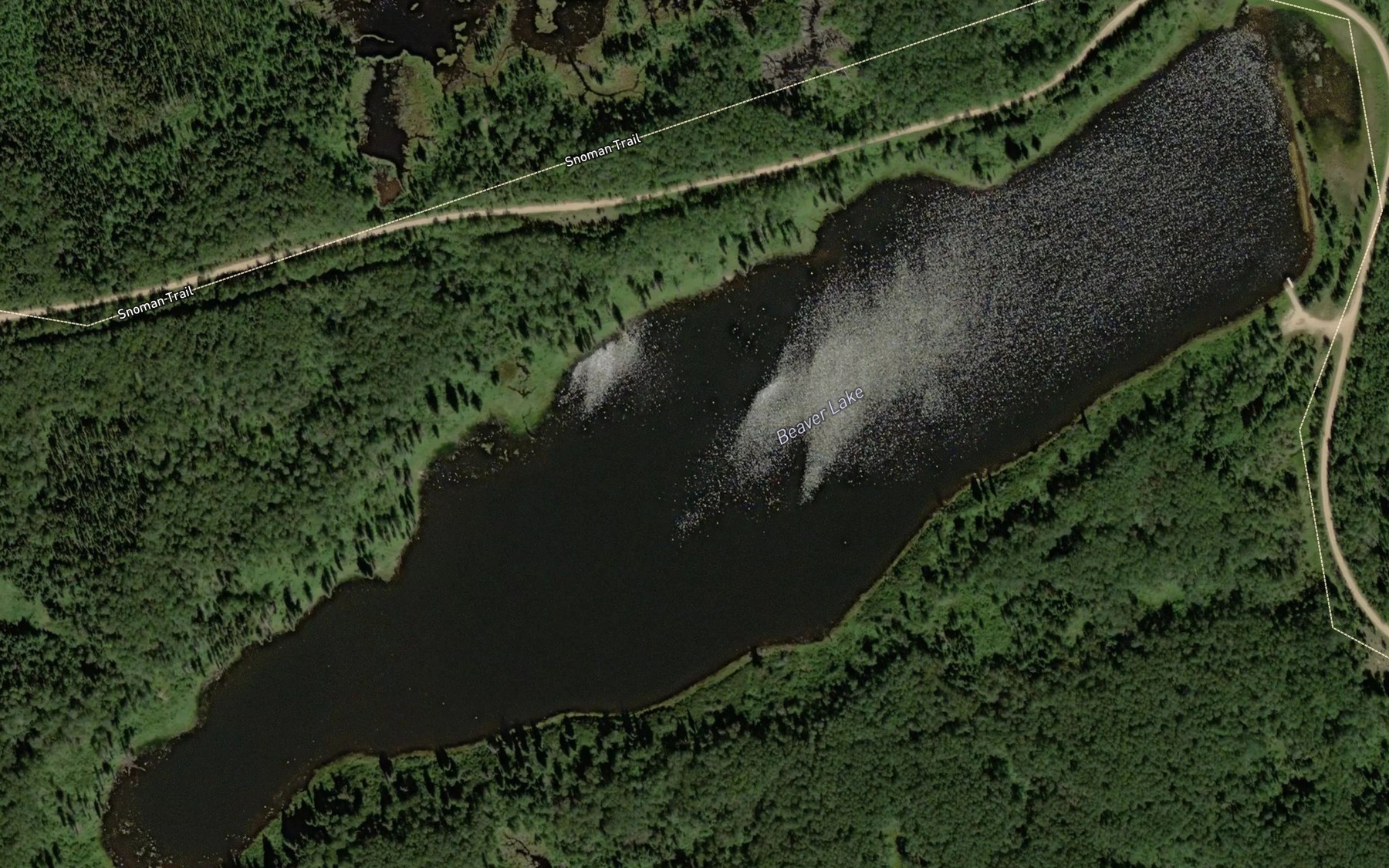 Satellite map of the Beaver Lake
