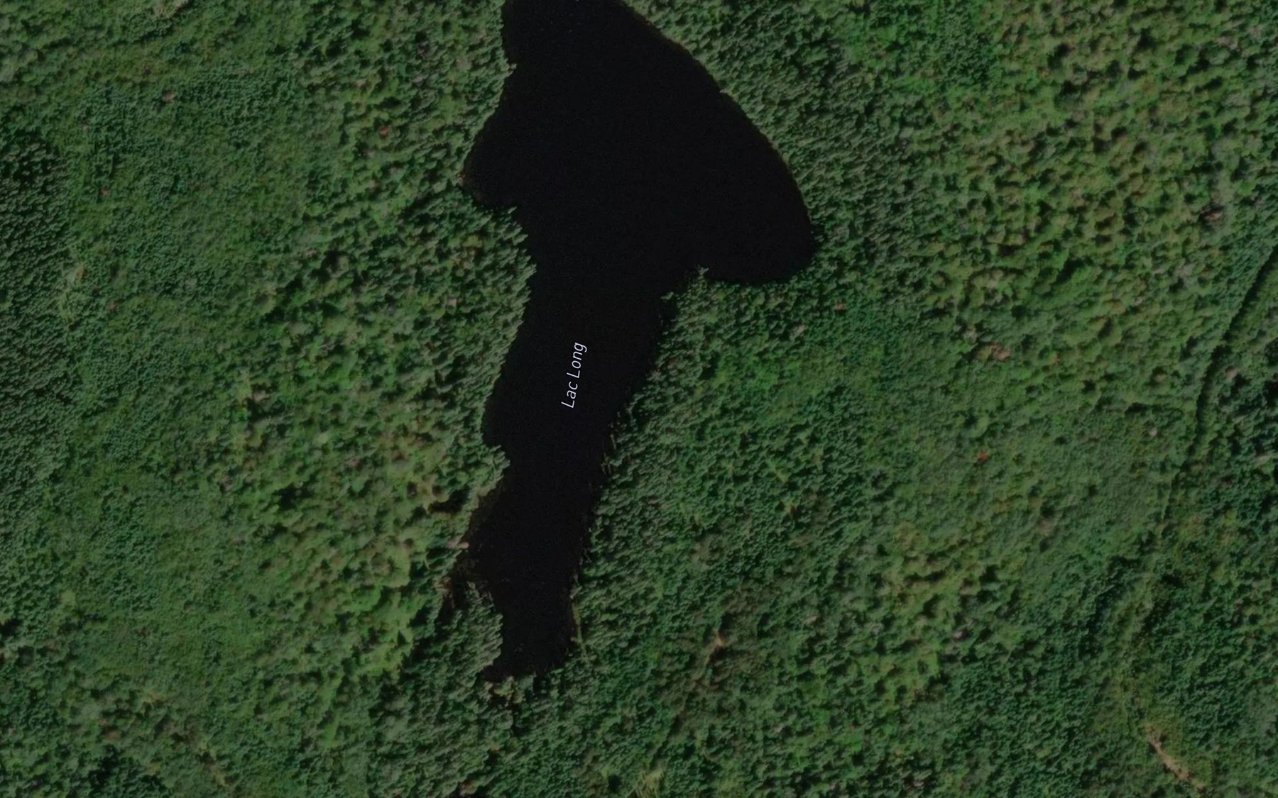 Satellite map of the Lac du Cornet