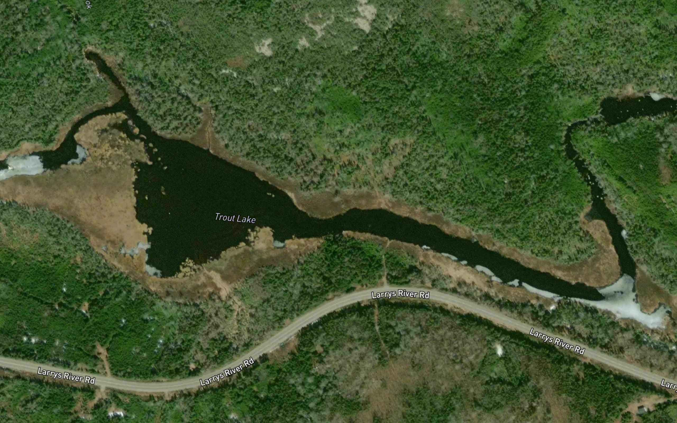 Trout Lake