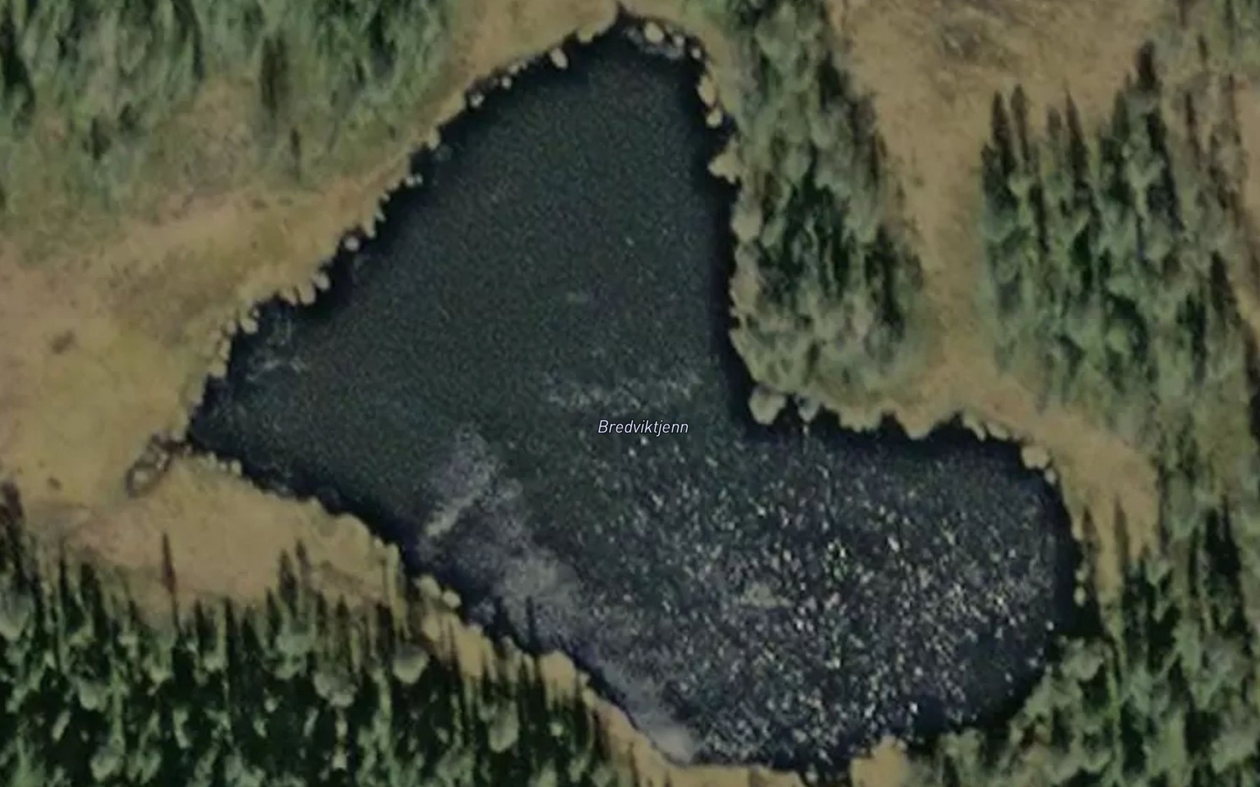 Satellite map of the Bredviktjenn