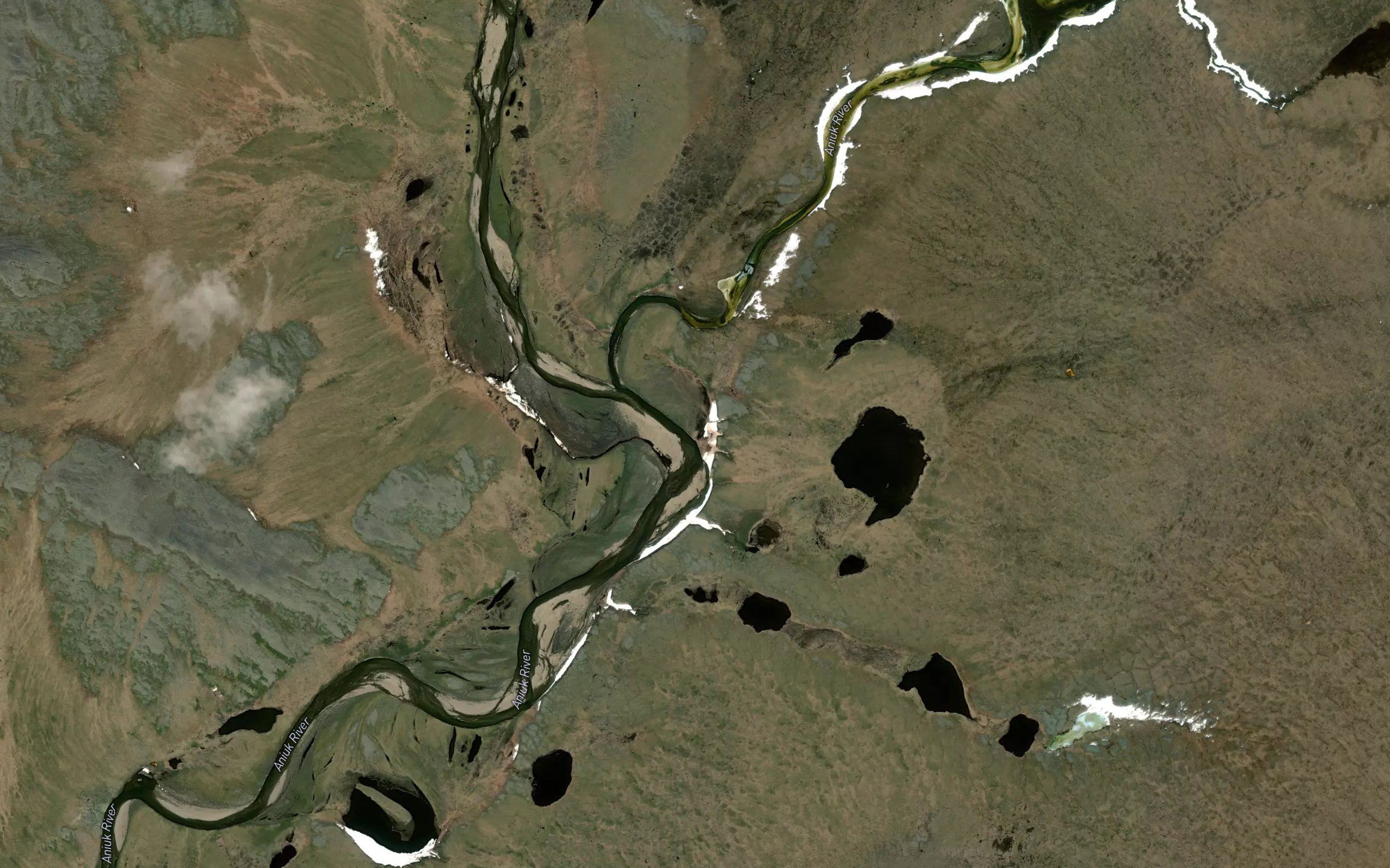 Fauna Creek