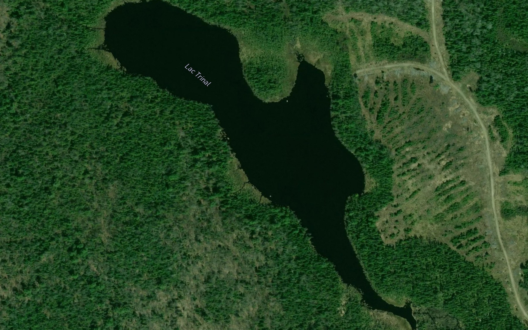 Satellite map of the Lac Trinal