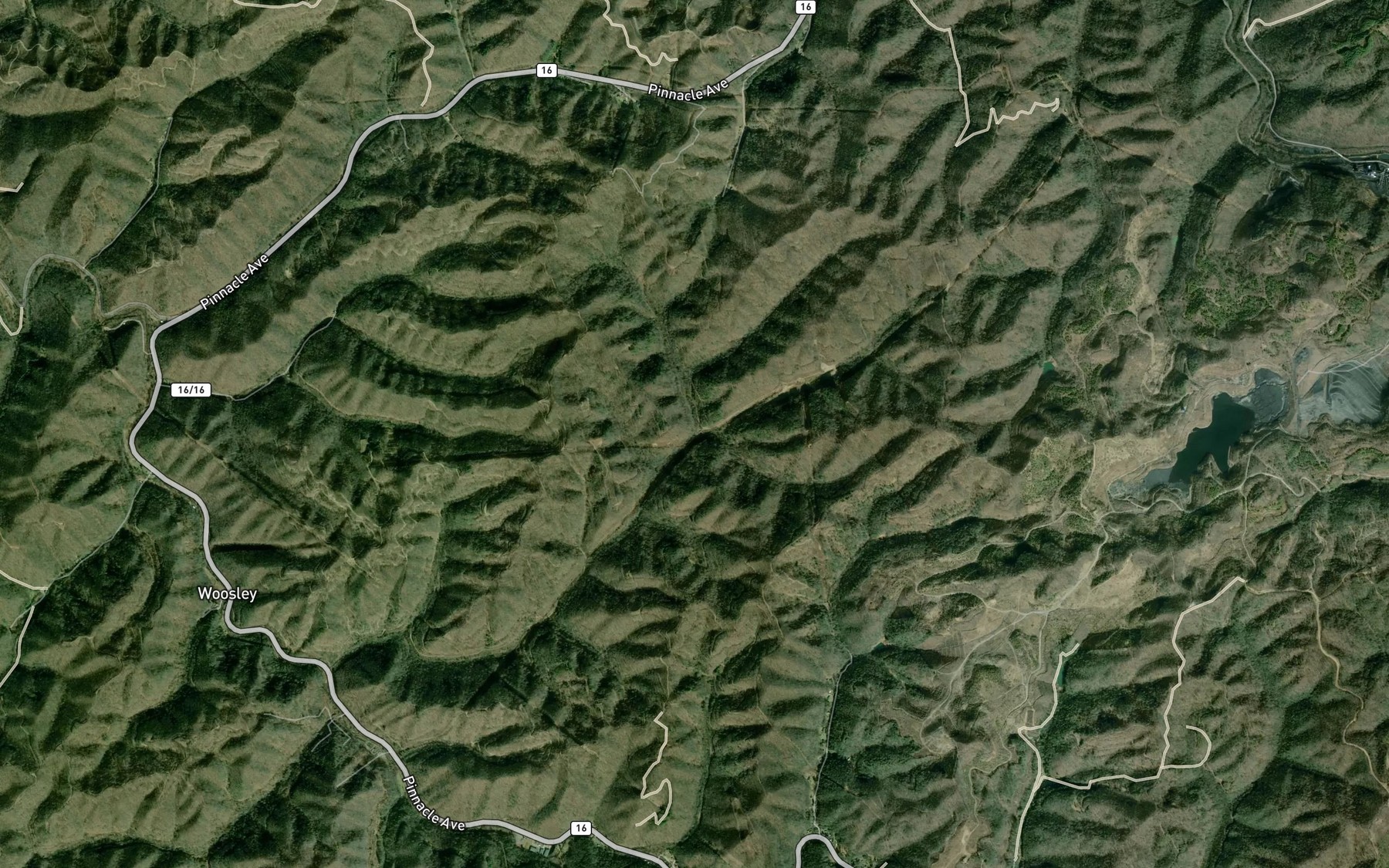 Satellite map of the Stanley Fork