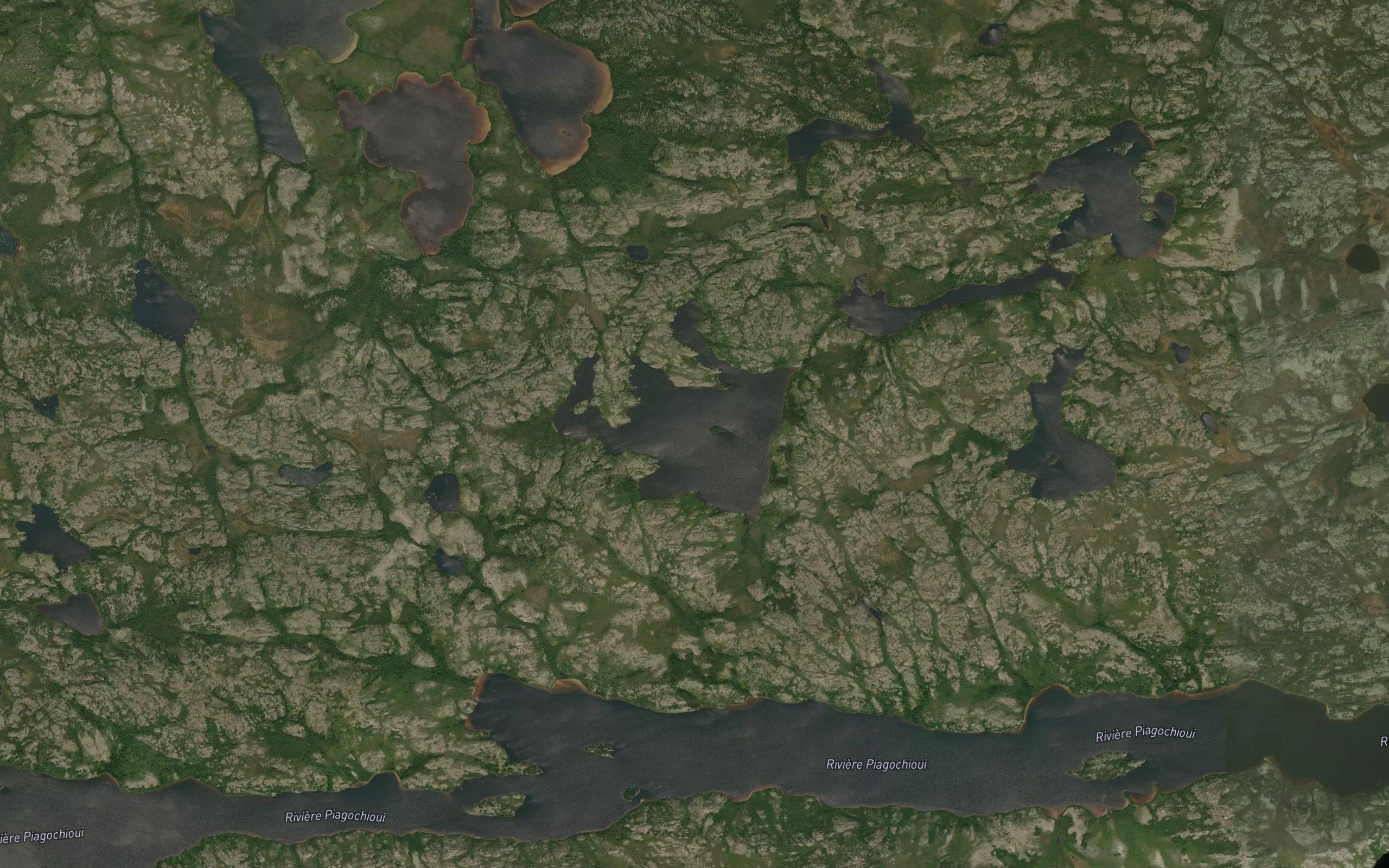 Lac Apiskutinasich