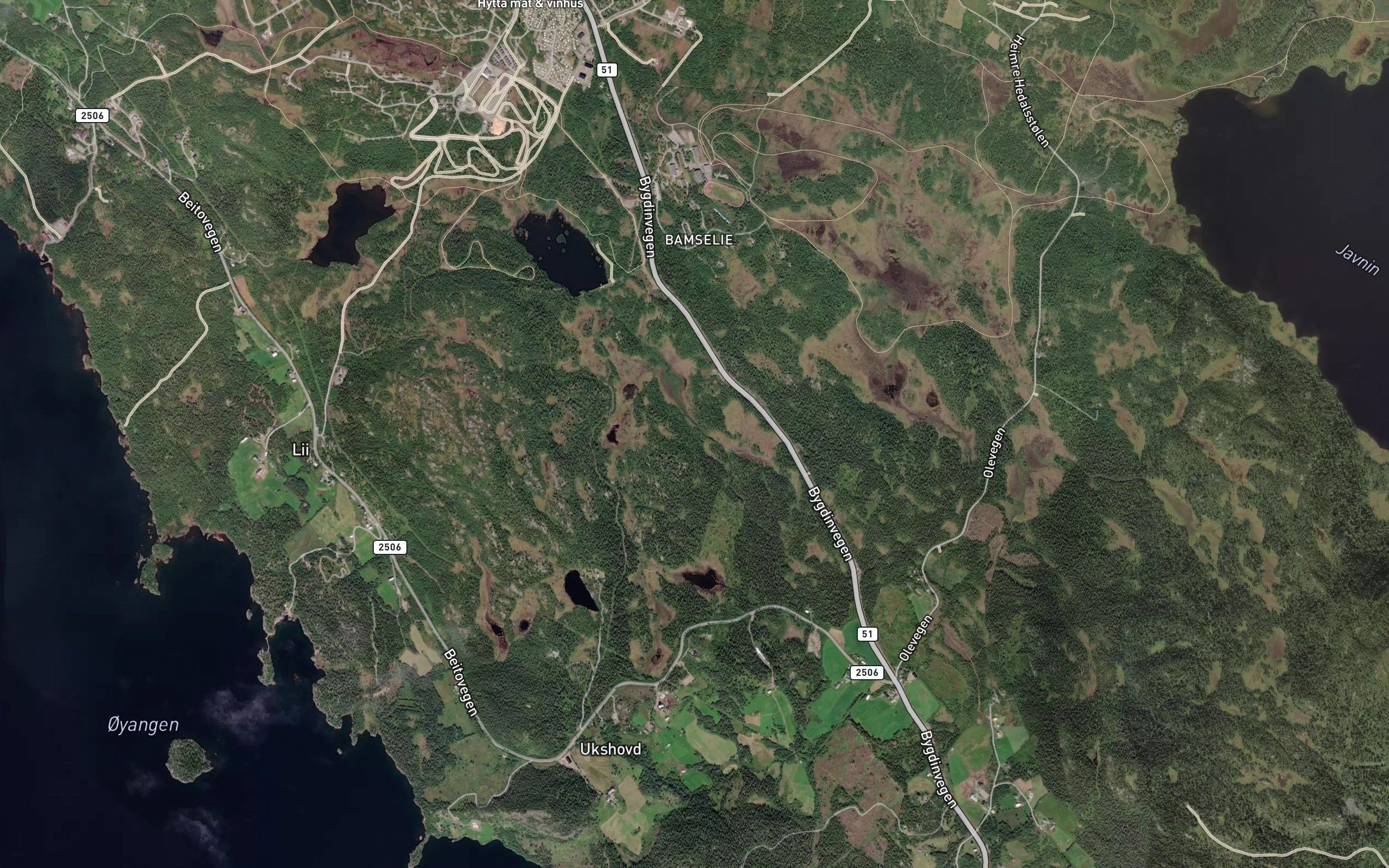 Vesleane