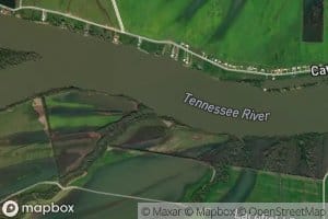 Mud Creek