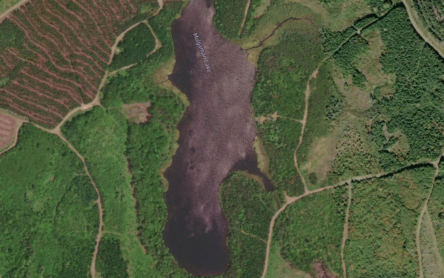 Satellite map of the Mulgaman Lake