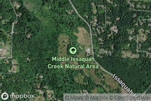 Carey Creek