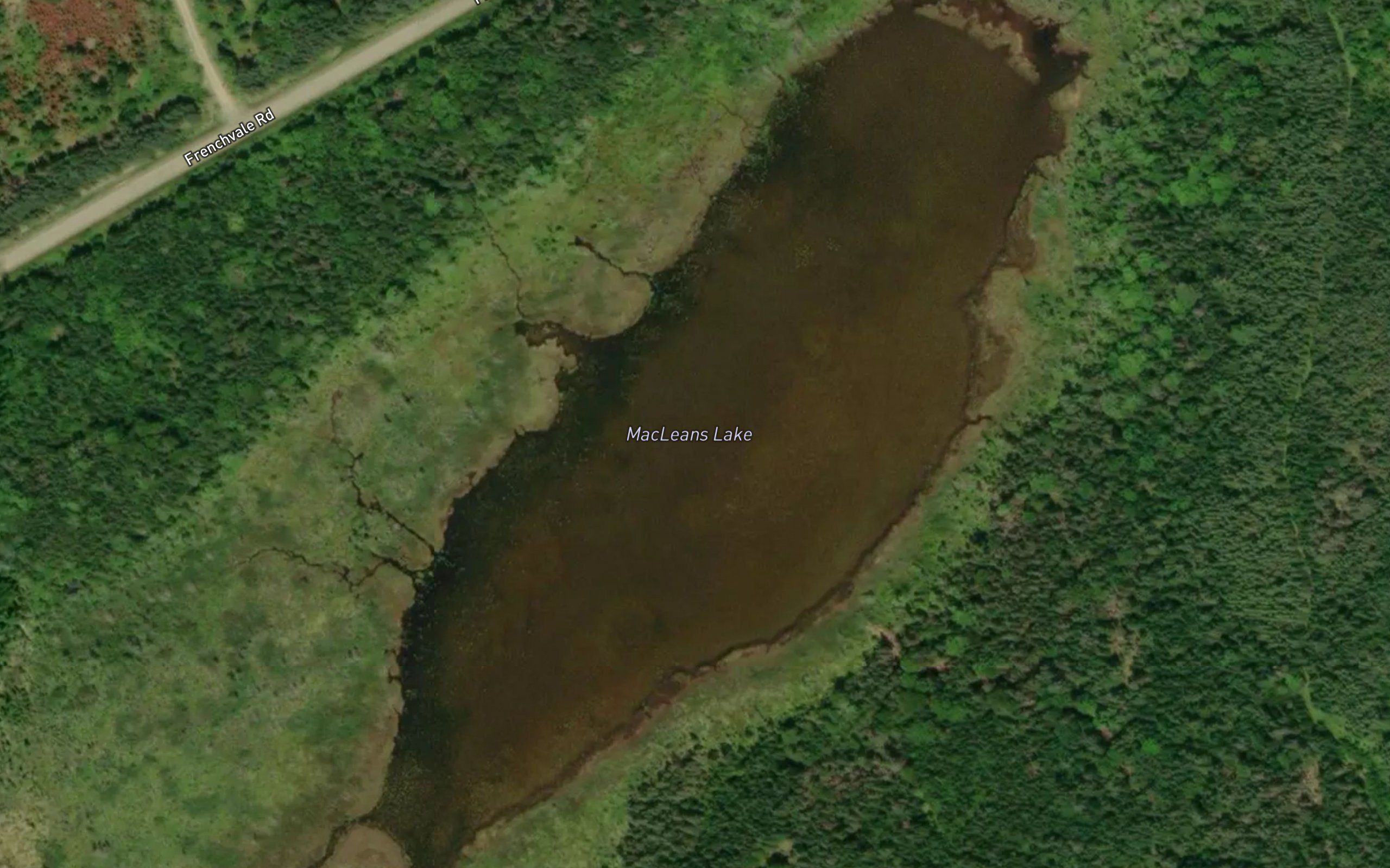 MacLeans Lake