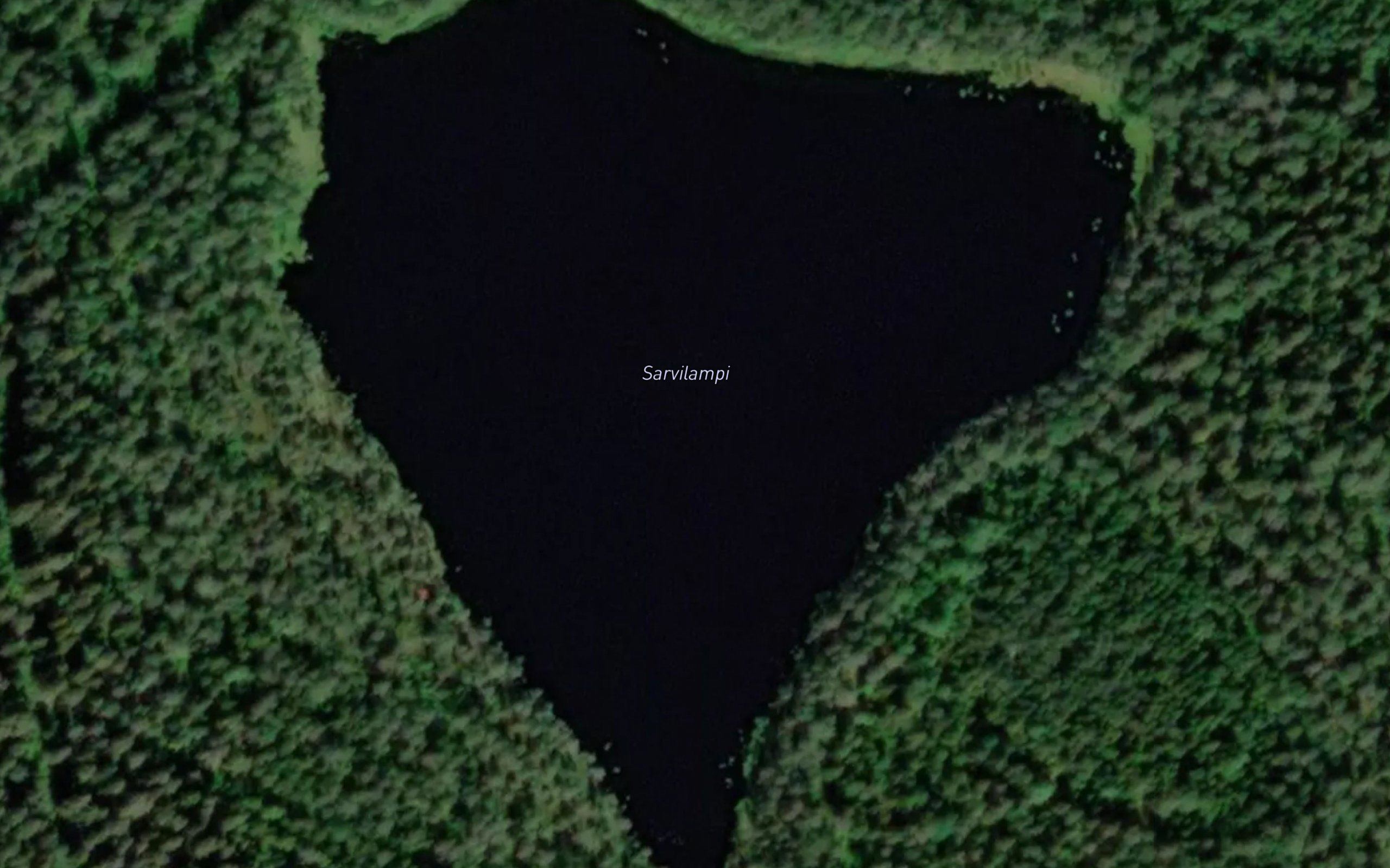 Sarvilampi