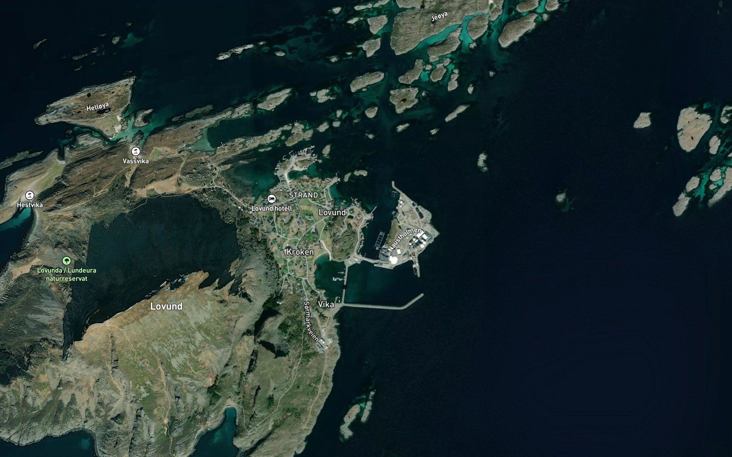 Svingjerdet