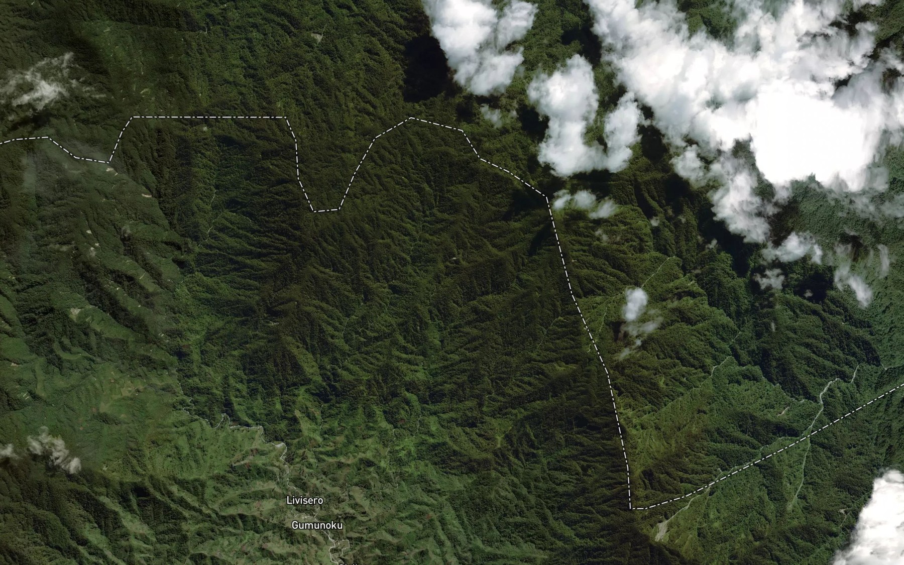 Satellite map of the Manguasi River
