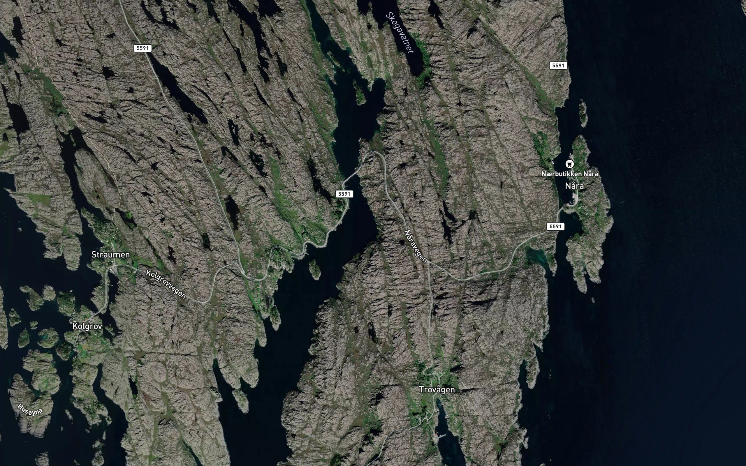 Lauvika