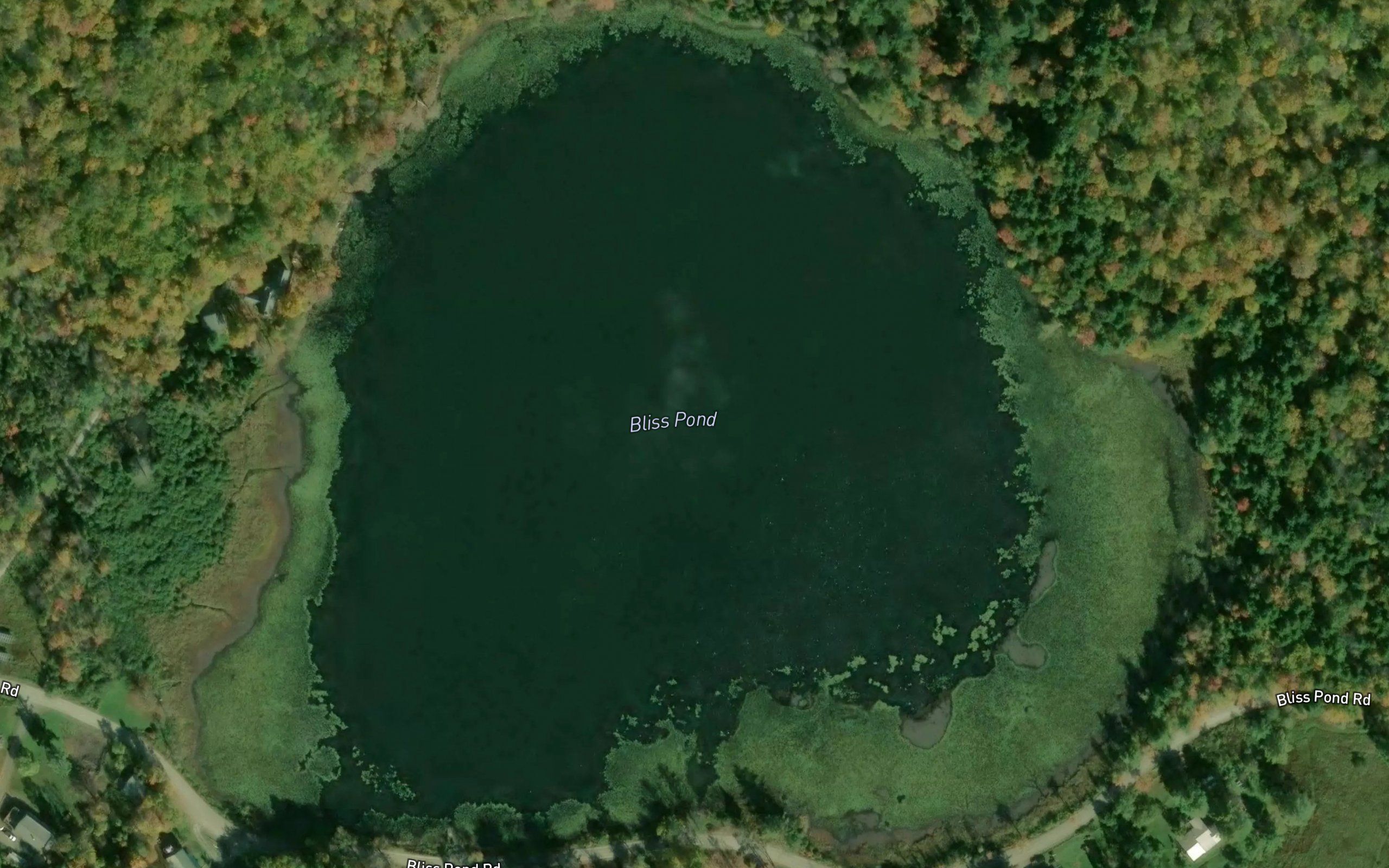 Bliss Pond