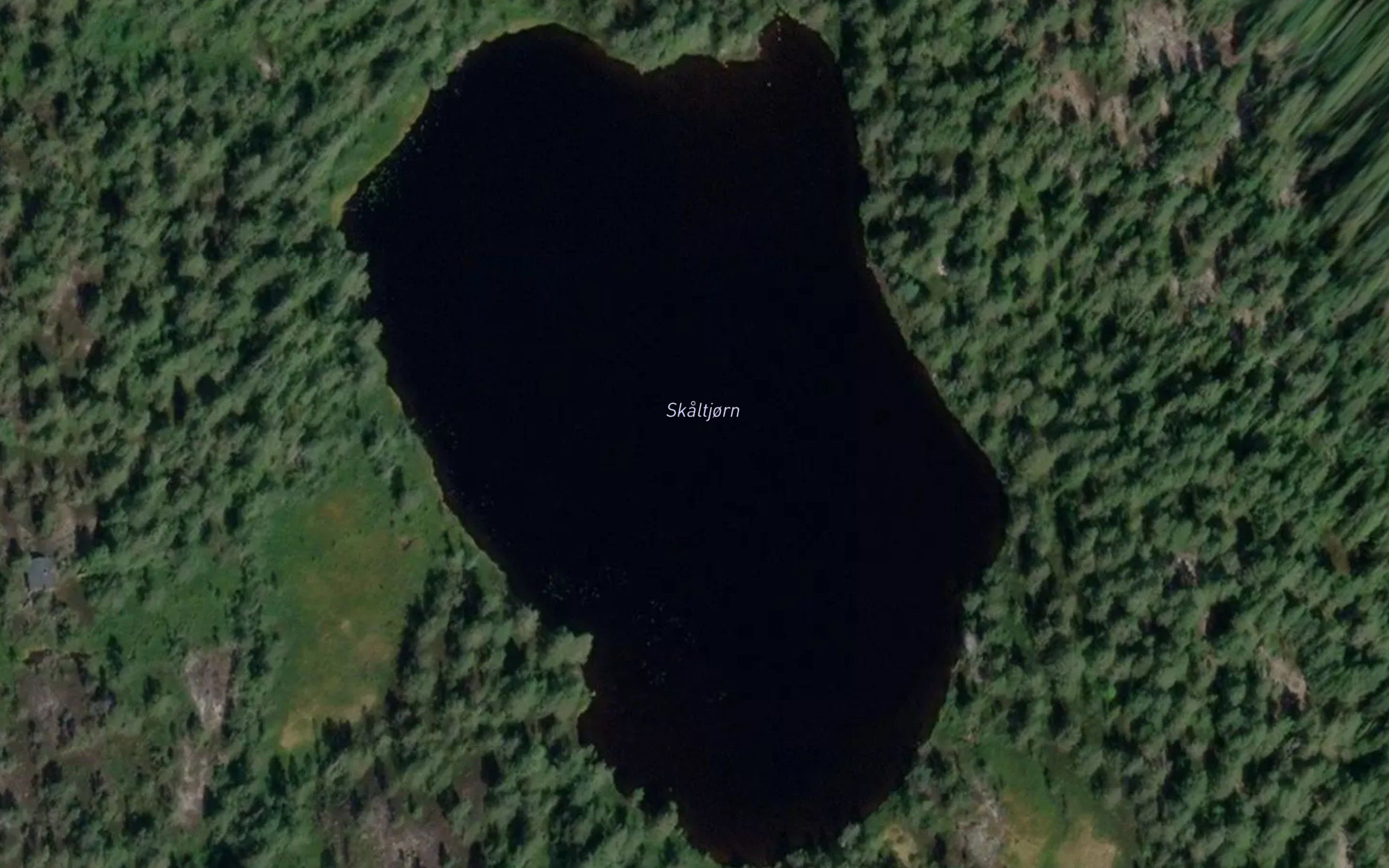 Skaltjorn