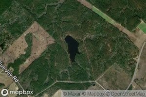 Coleman Lake