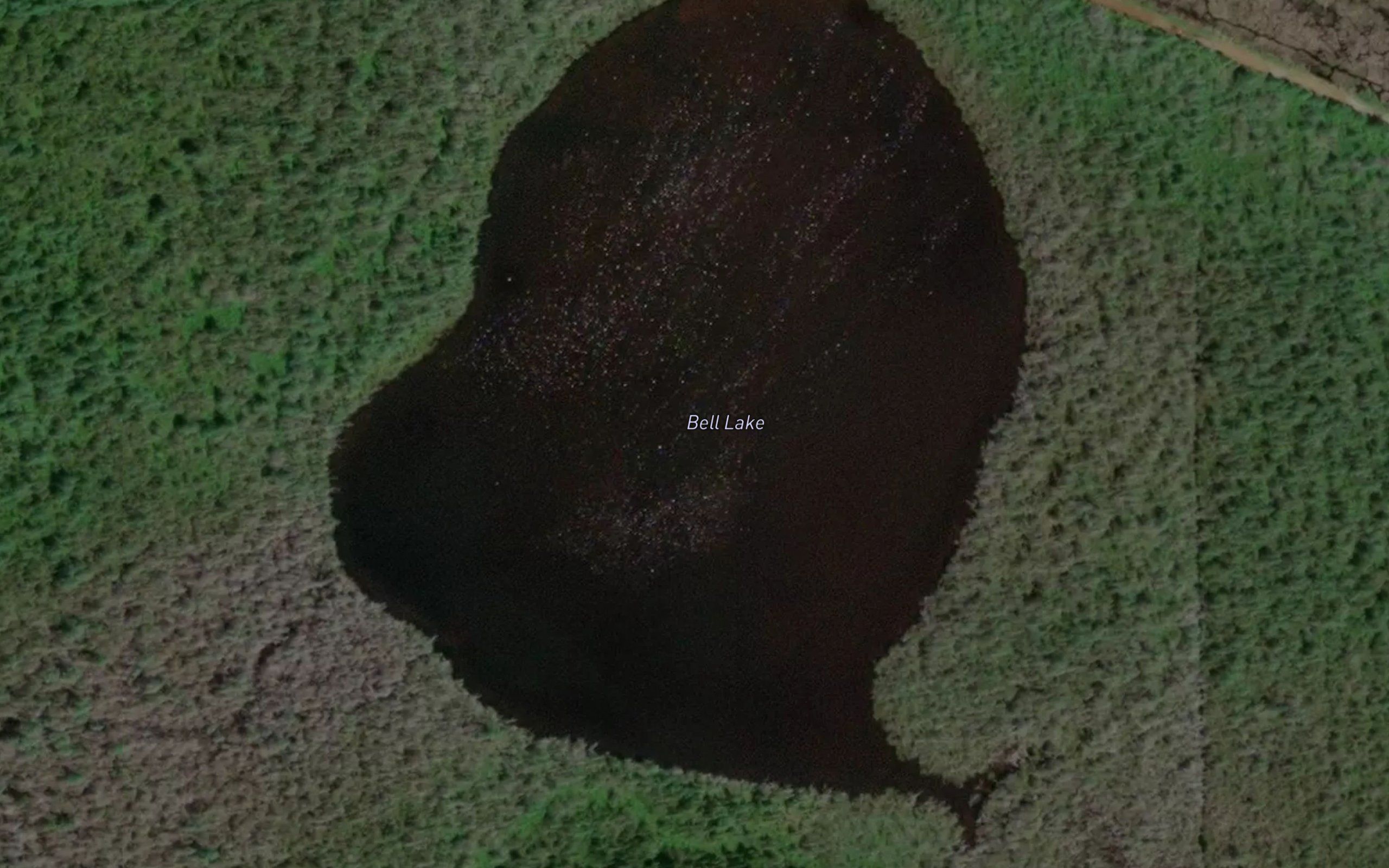 Bell Lake