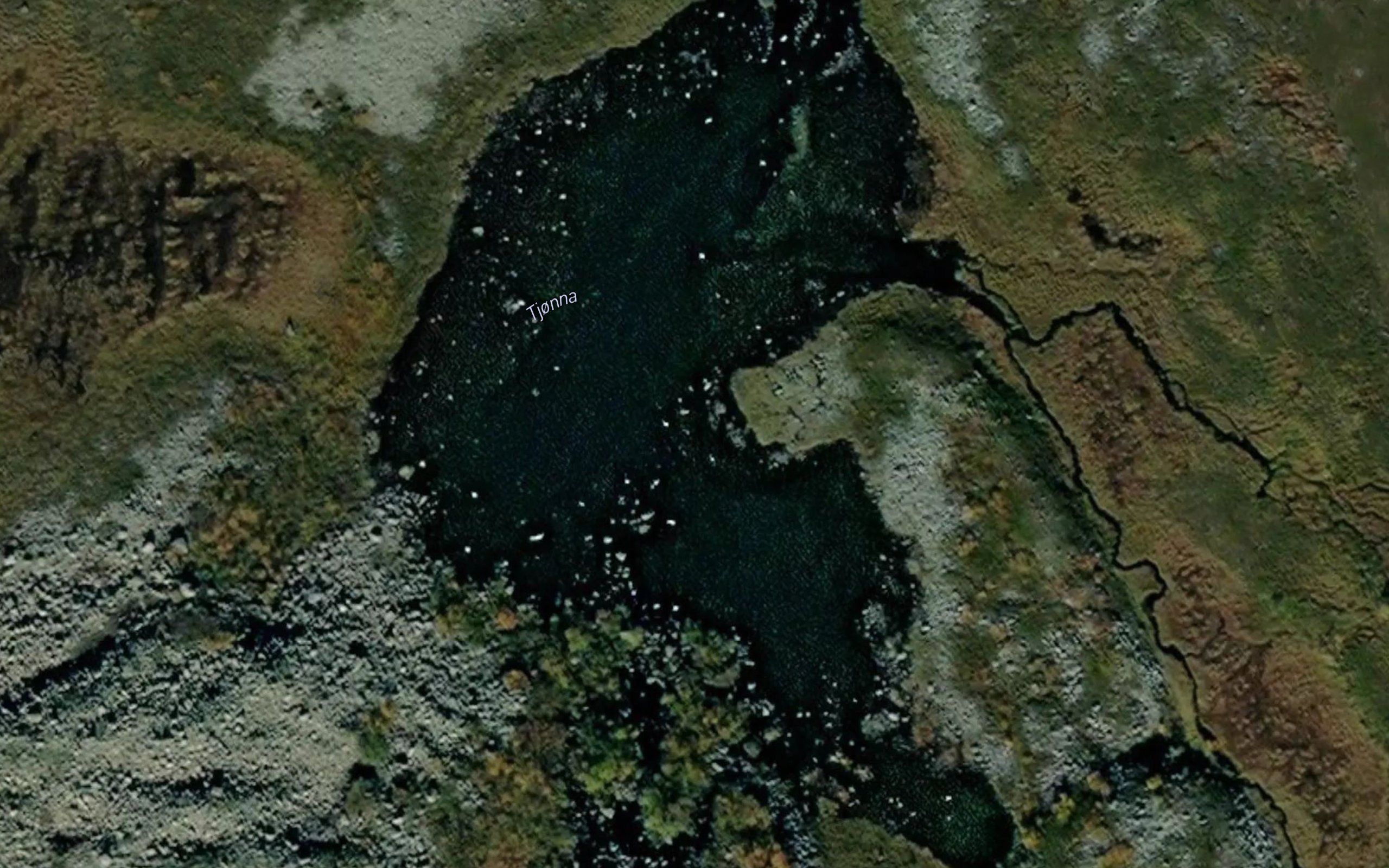 Tjonna