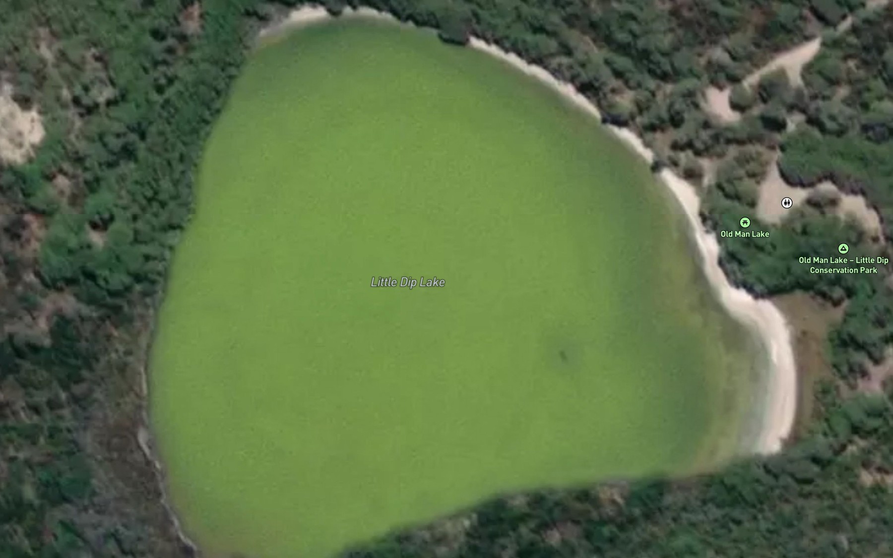 Satellite map of the Little Dip Lake